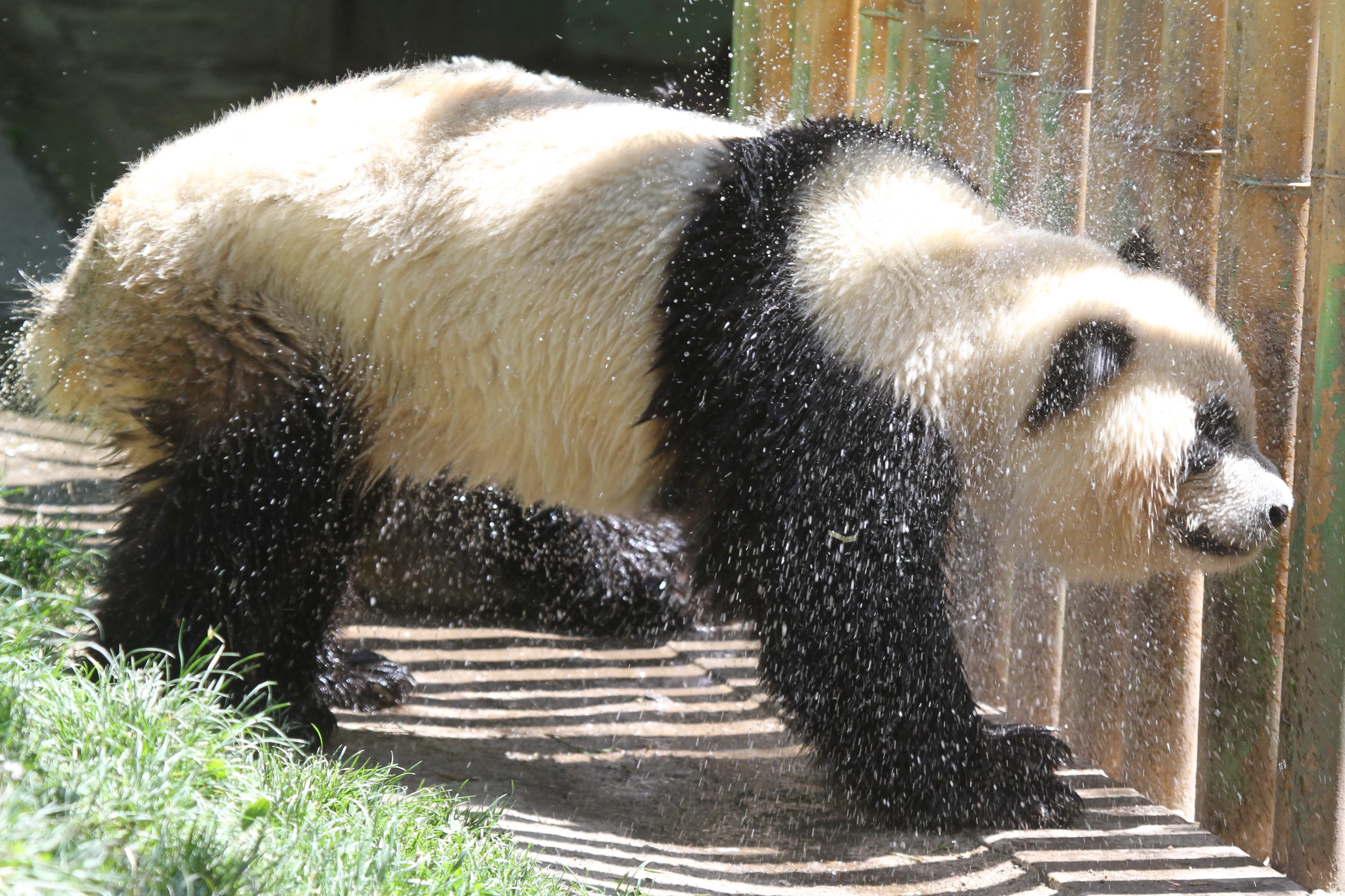 Zoo Madrid