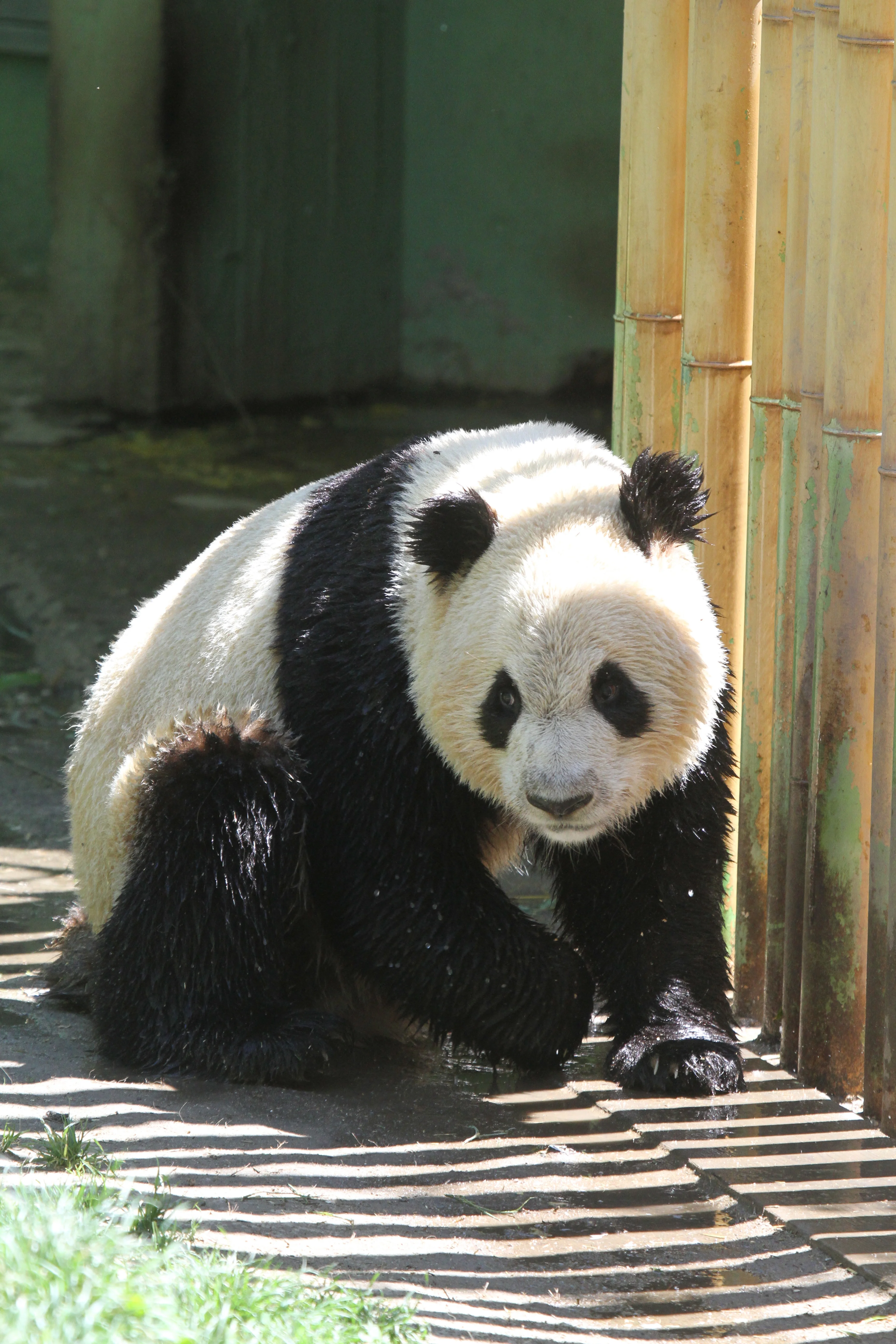 Zoo Madrid