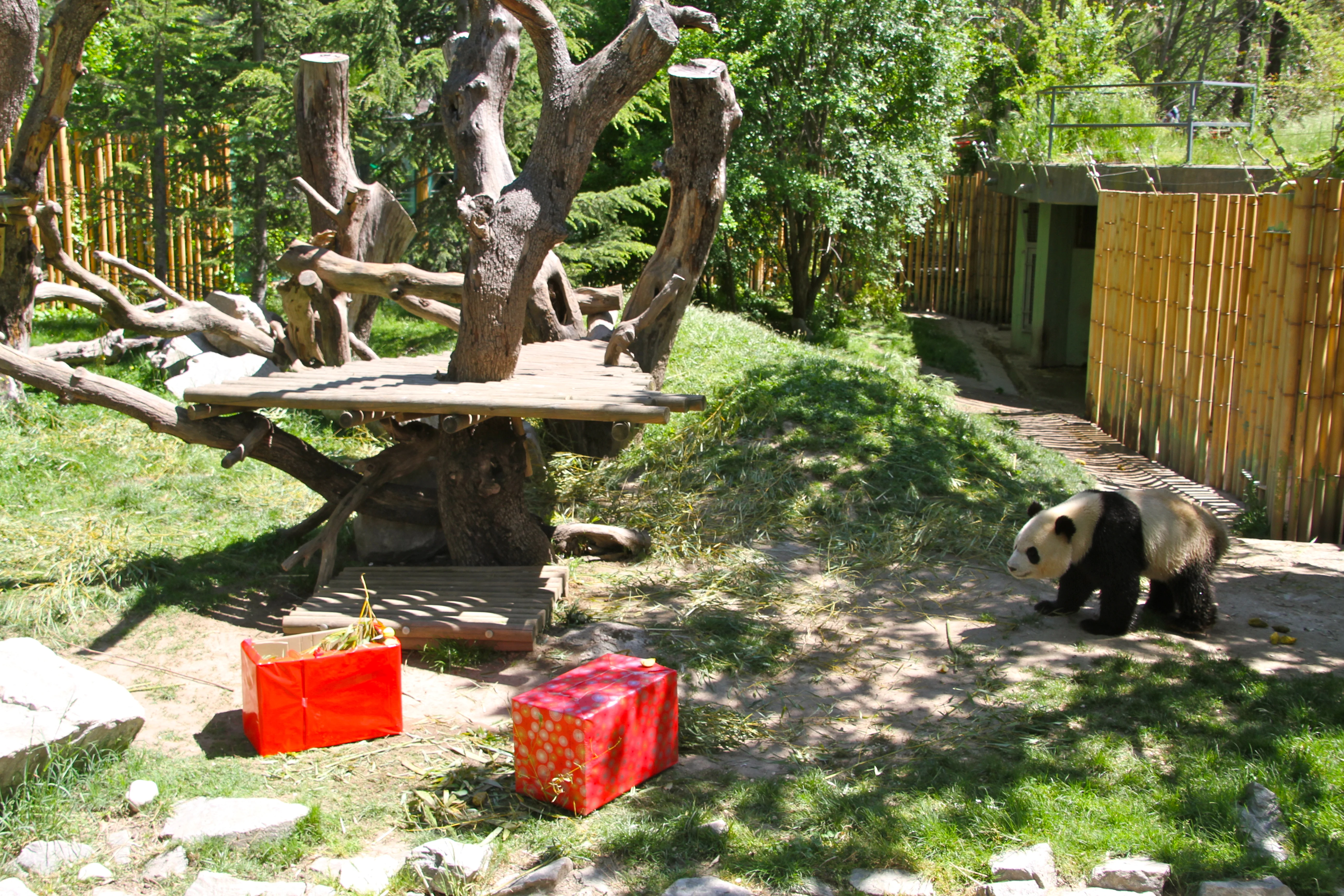 Zoo Madrid