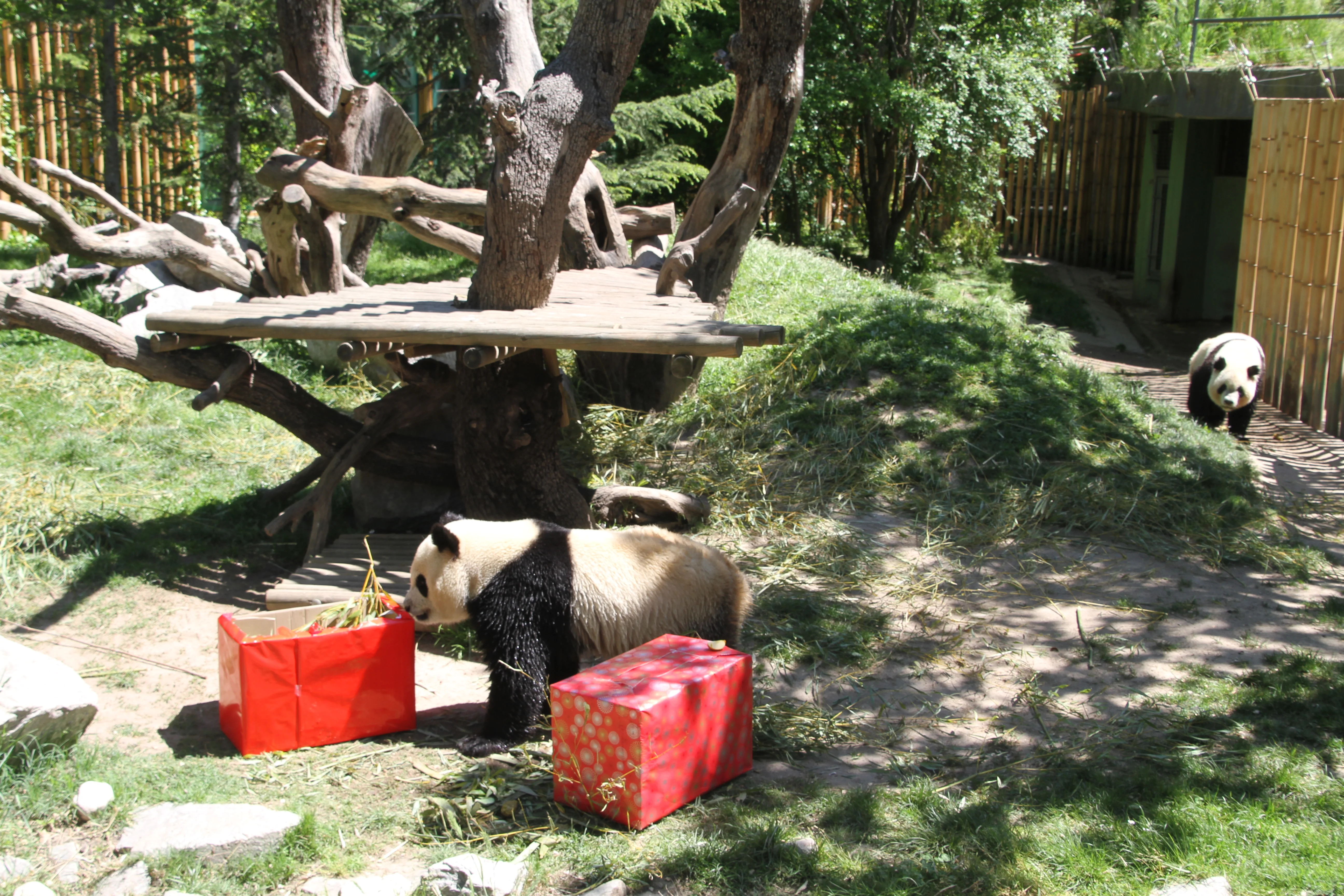 Zoo Madrid