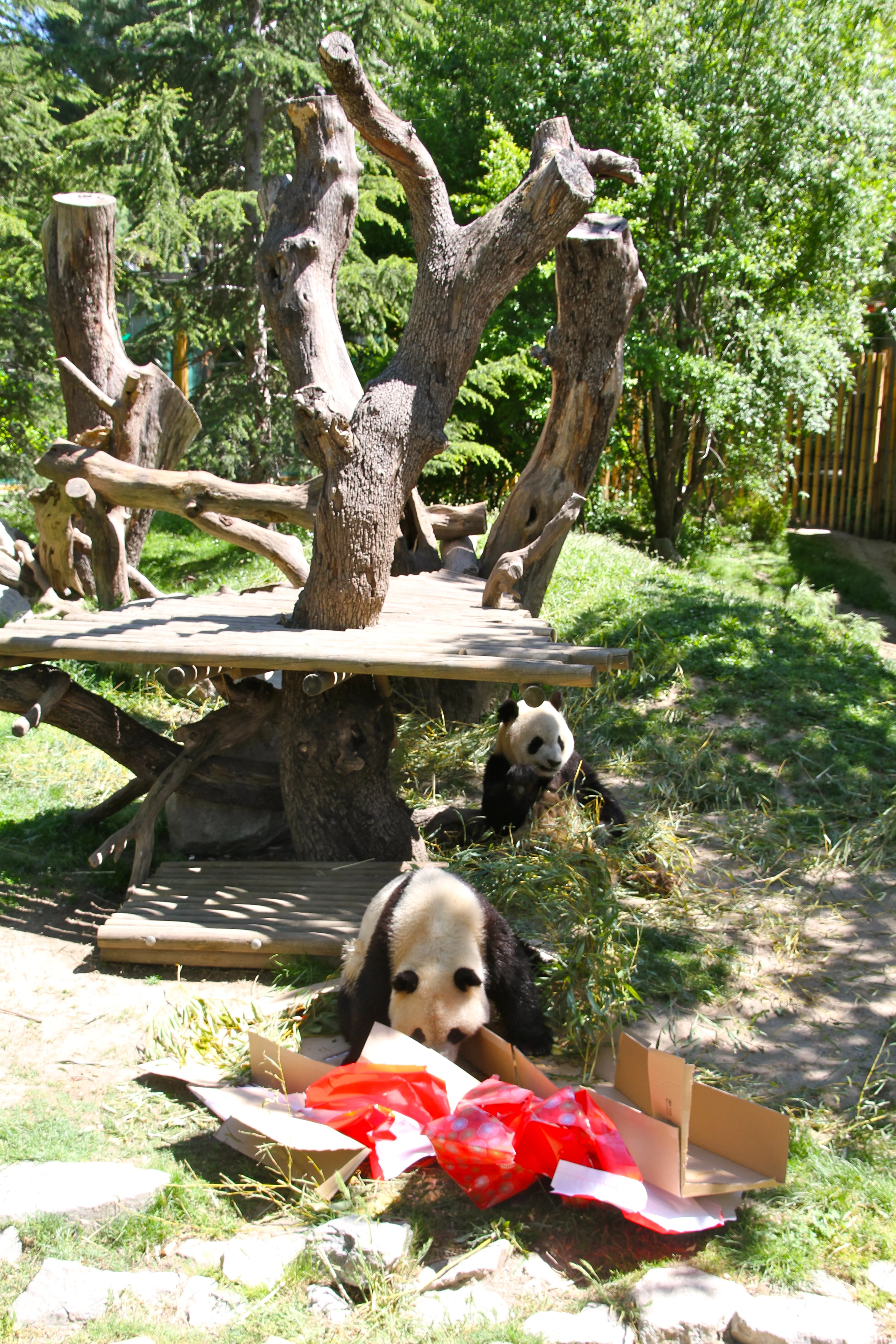 Zoo Madrid