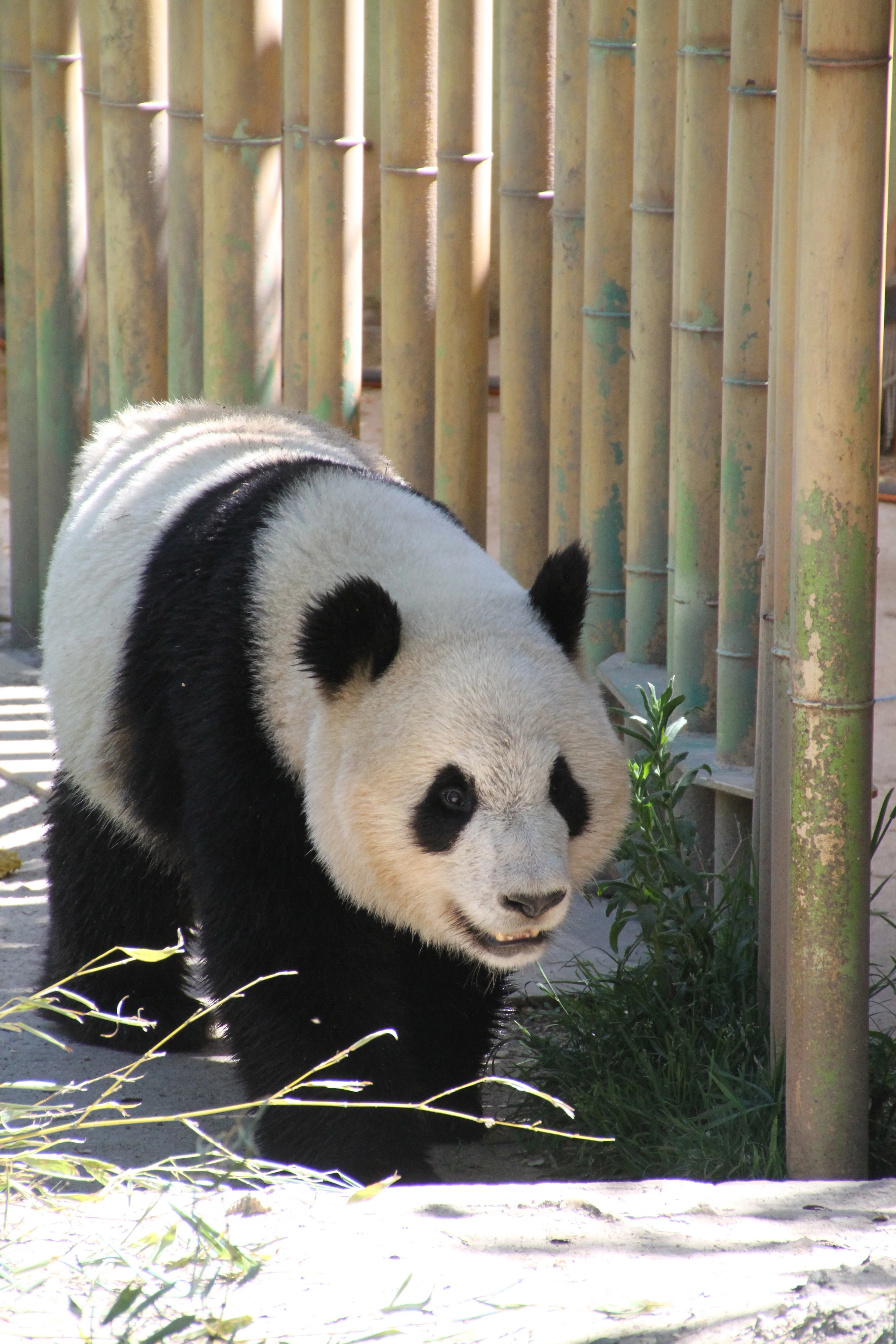 Zoo Madrid