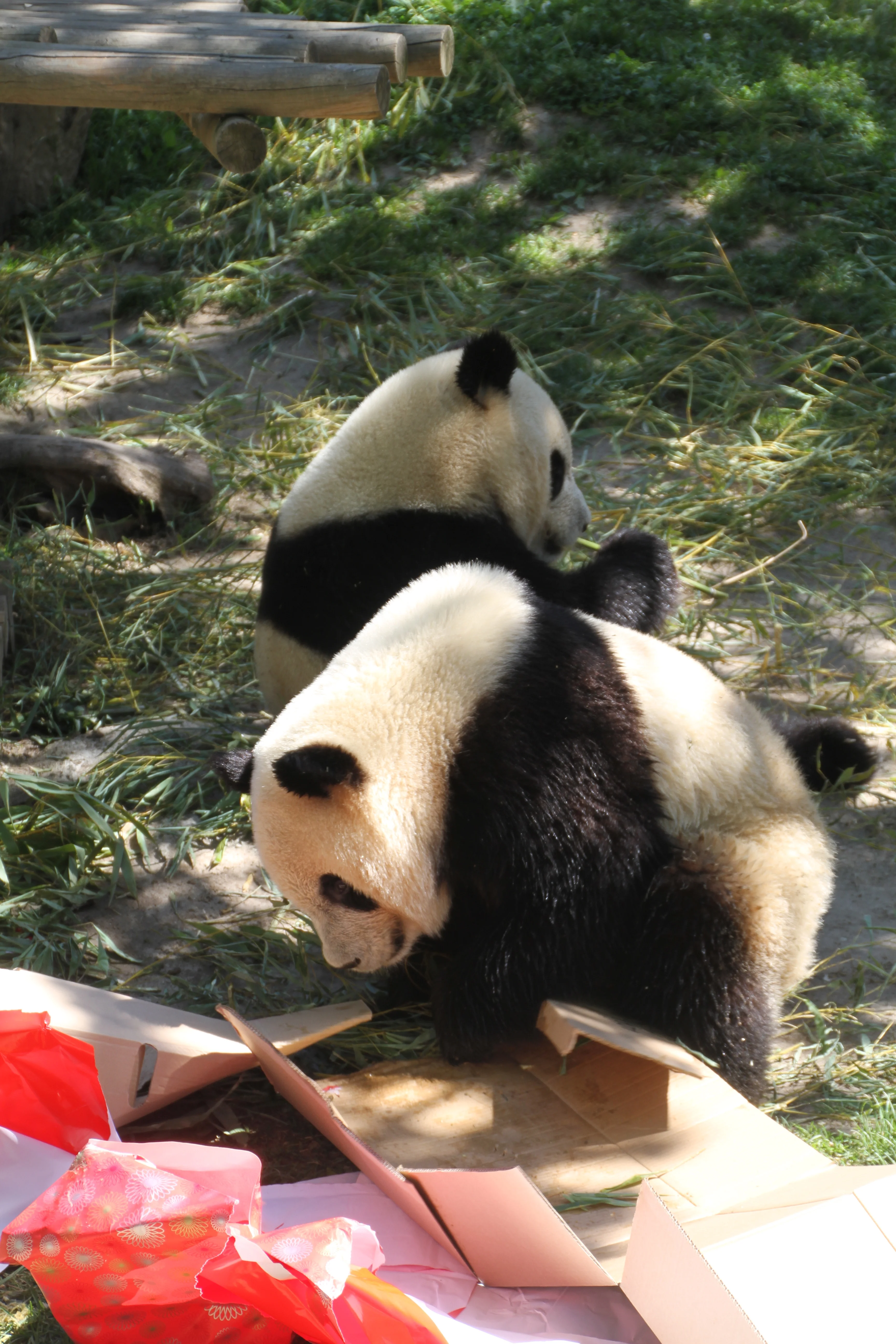 Zoo Madrid