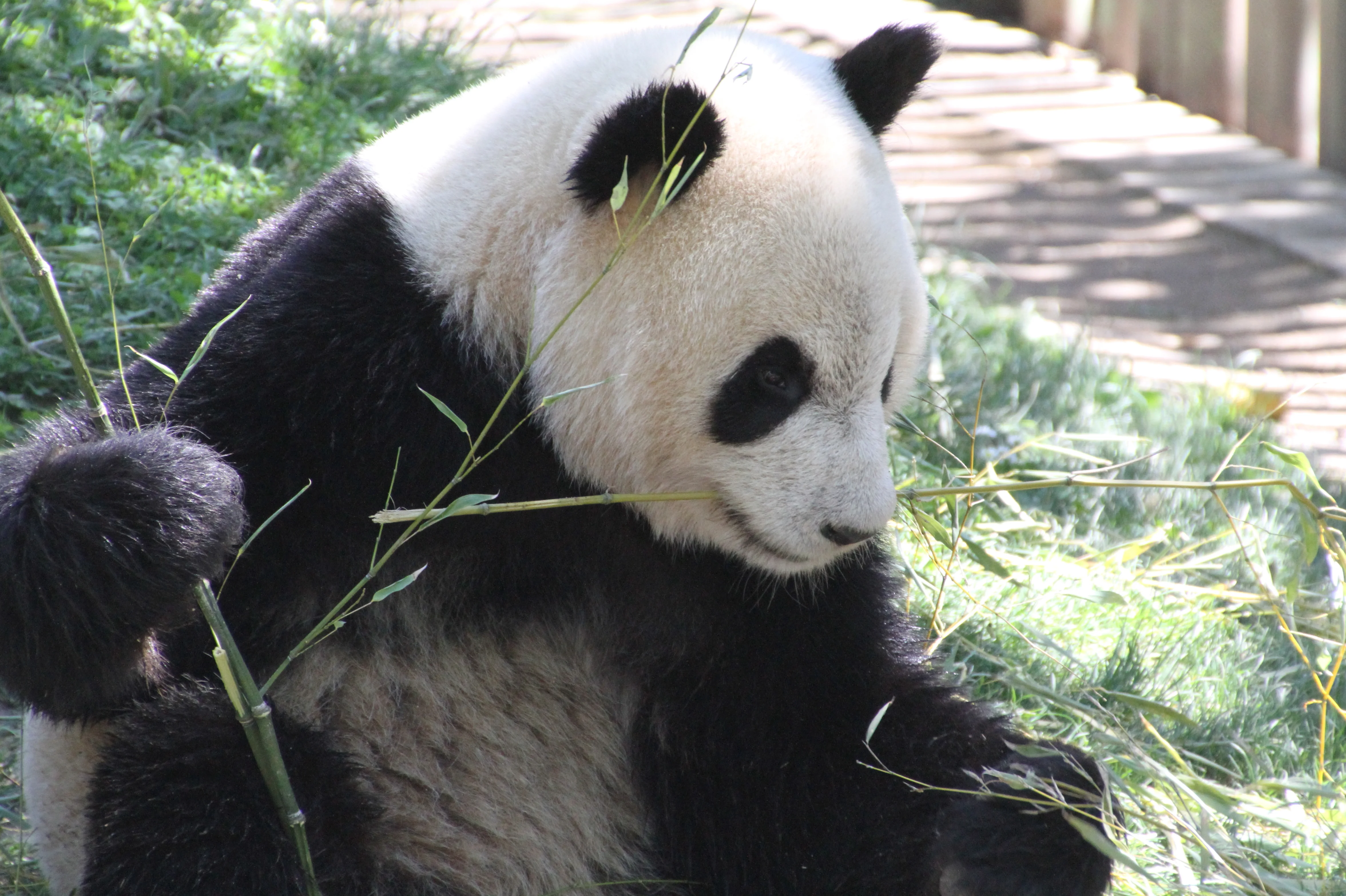 Zoo Madrid