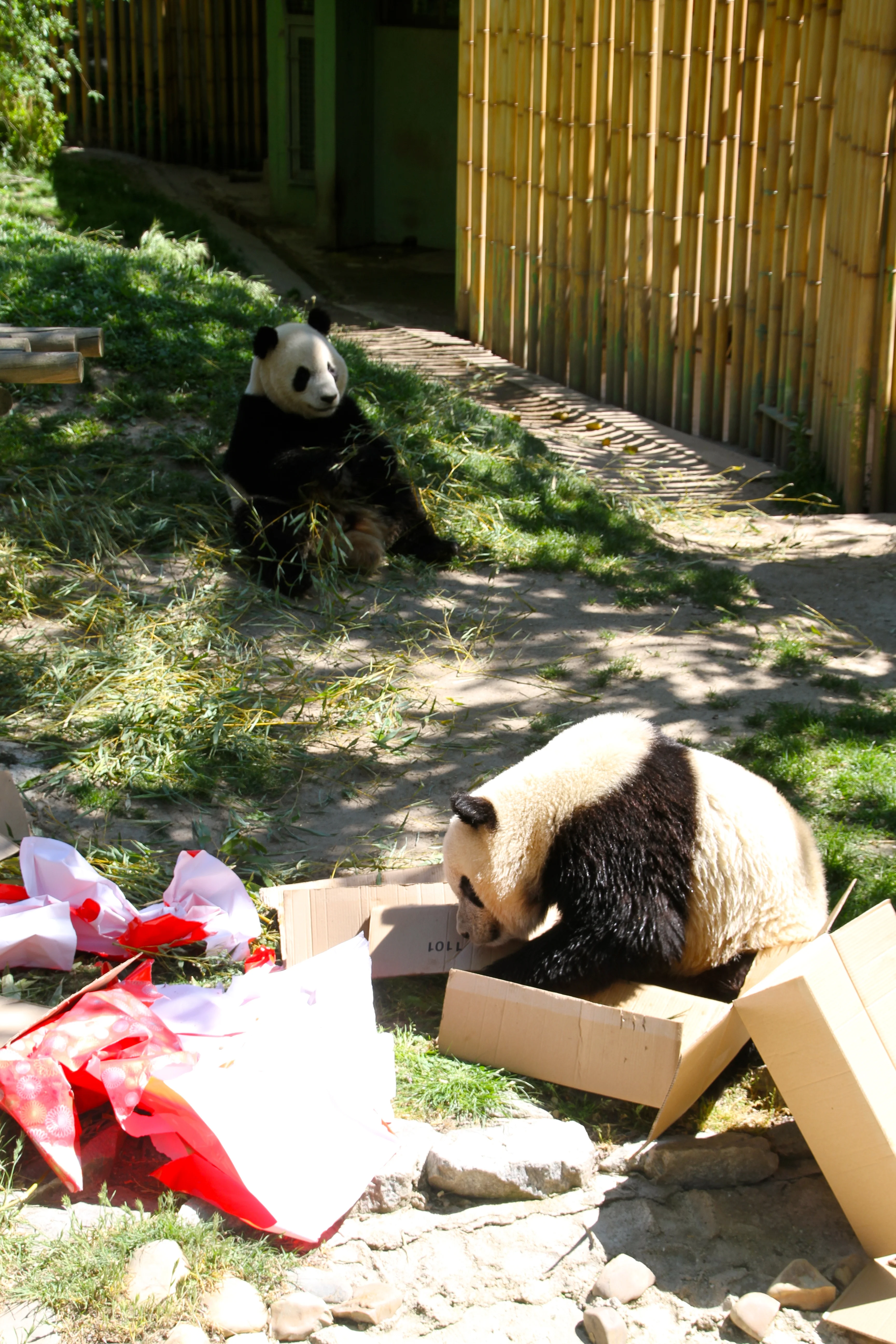 Zoo Madrid