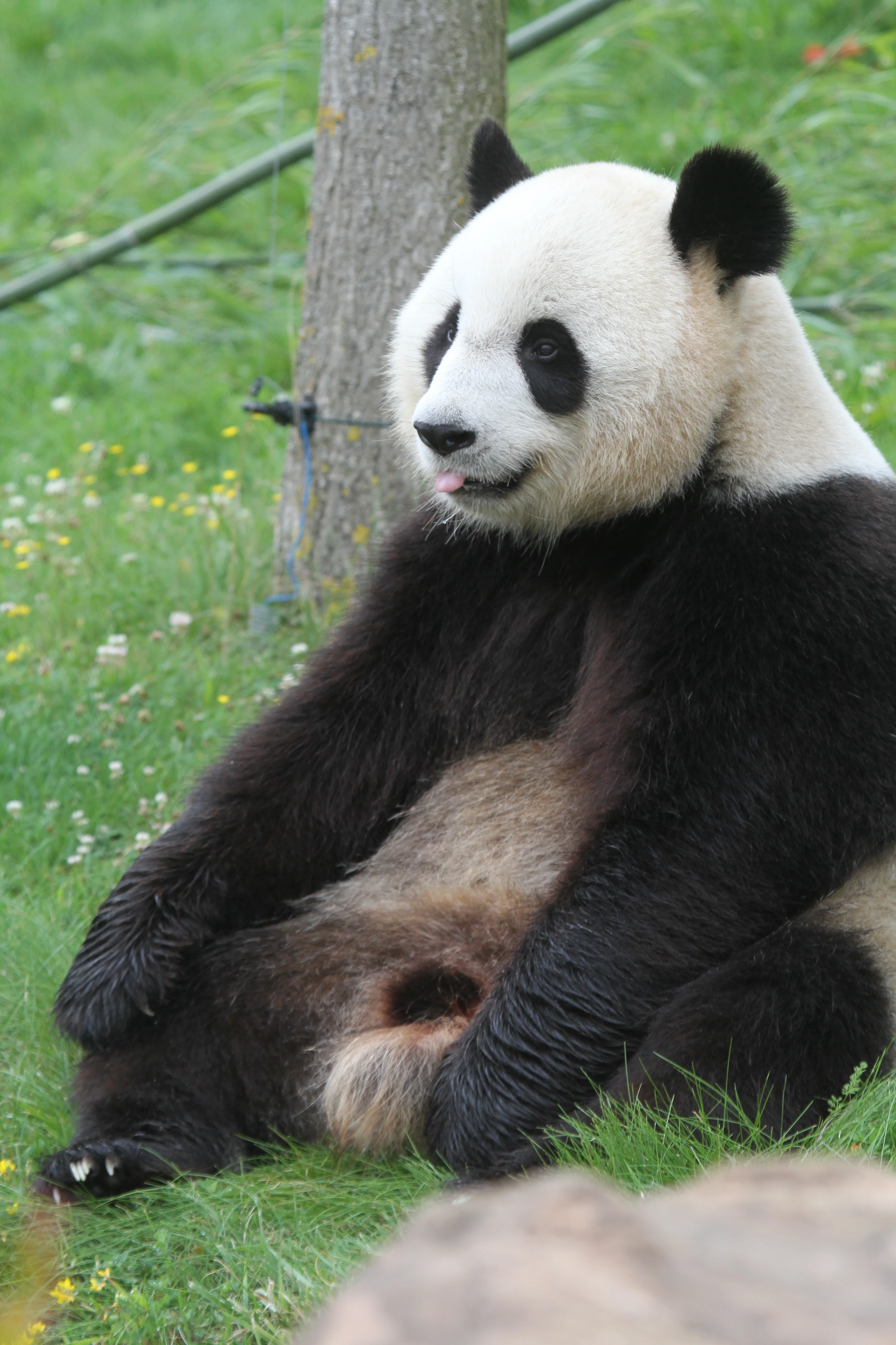 ZooParc de Beauval
