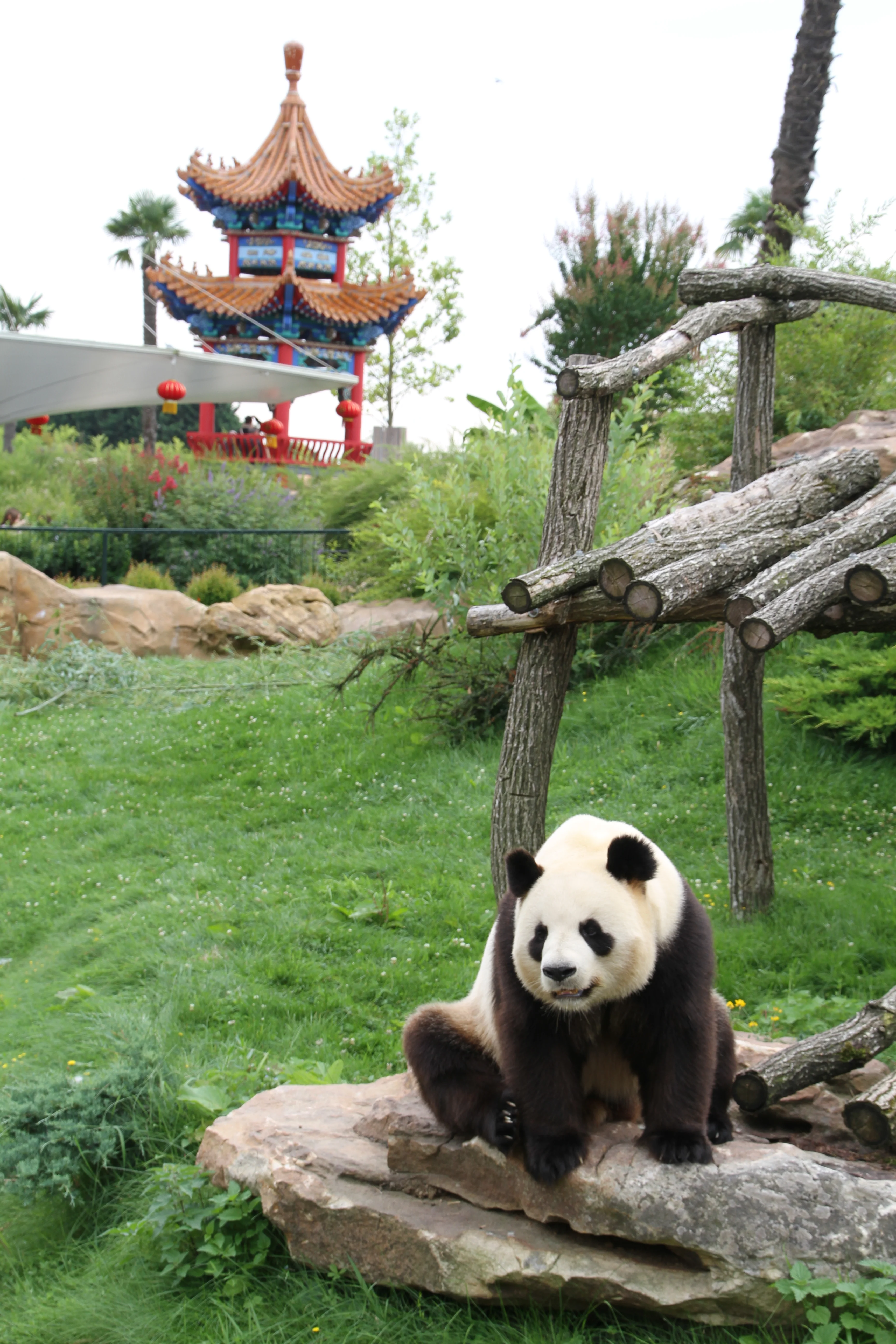 ZooParc de Beauval