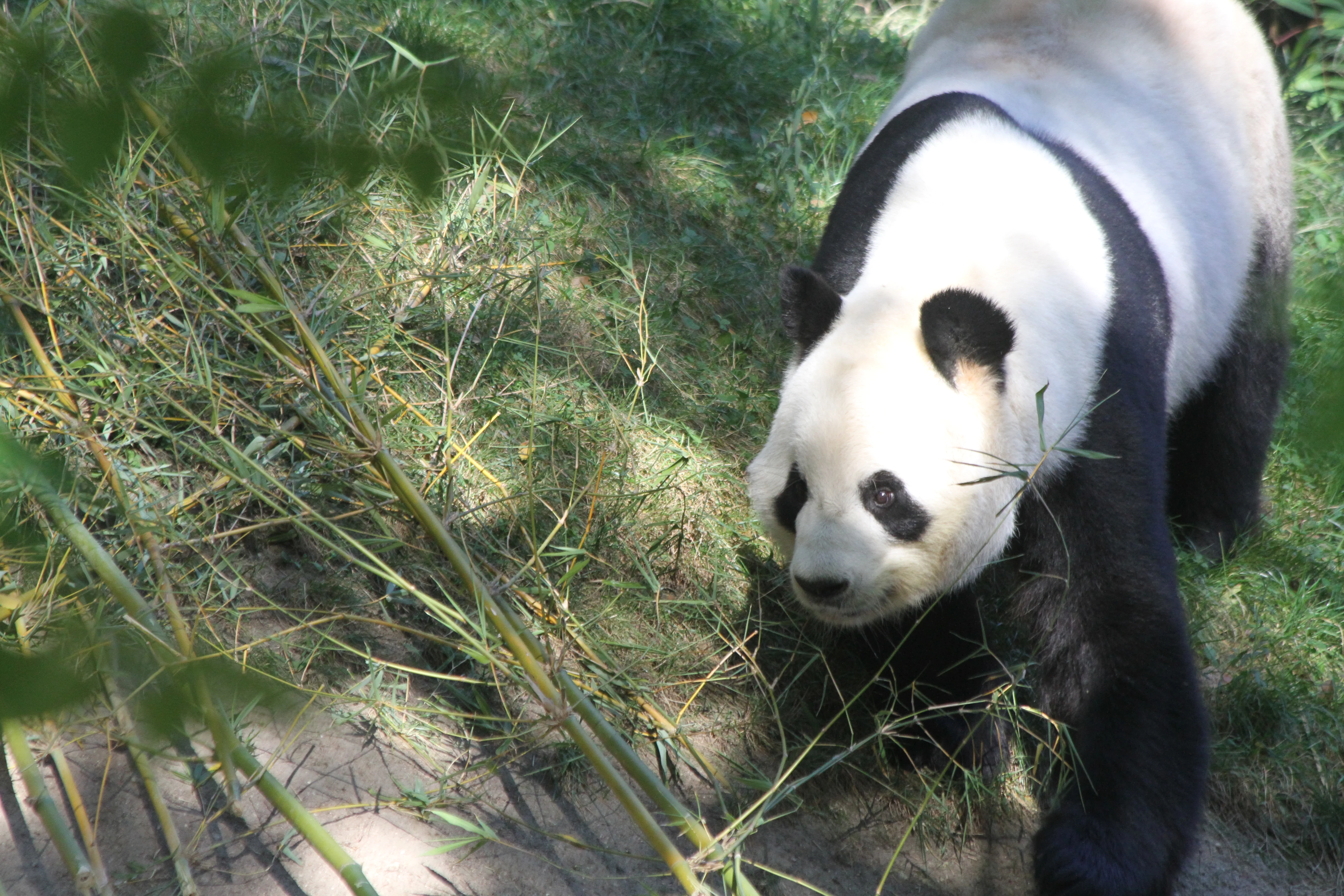 Zoo Madrid