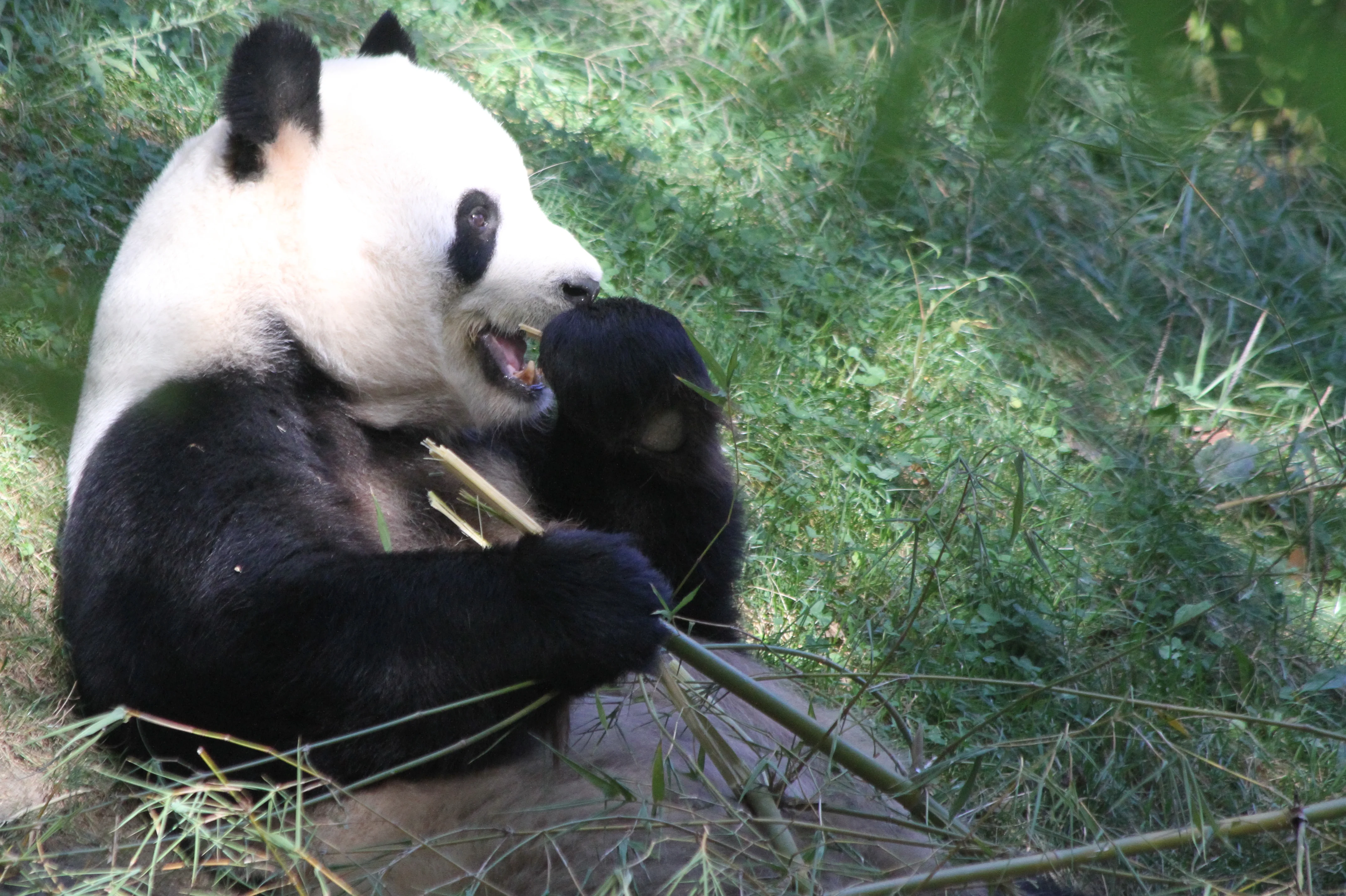 Zoo Madrid