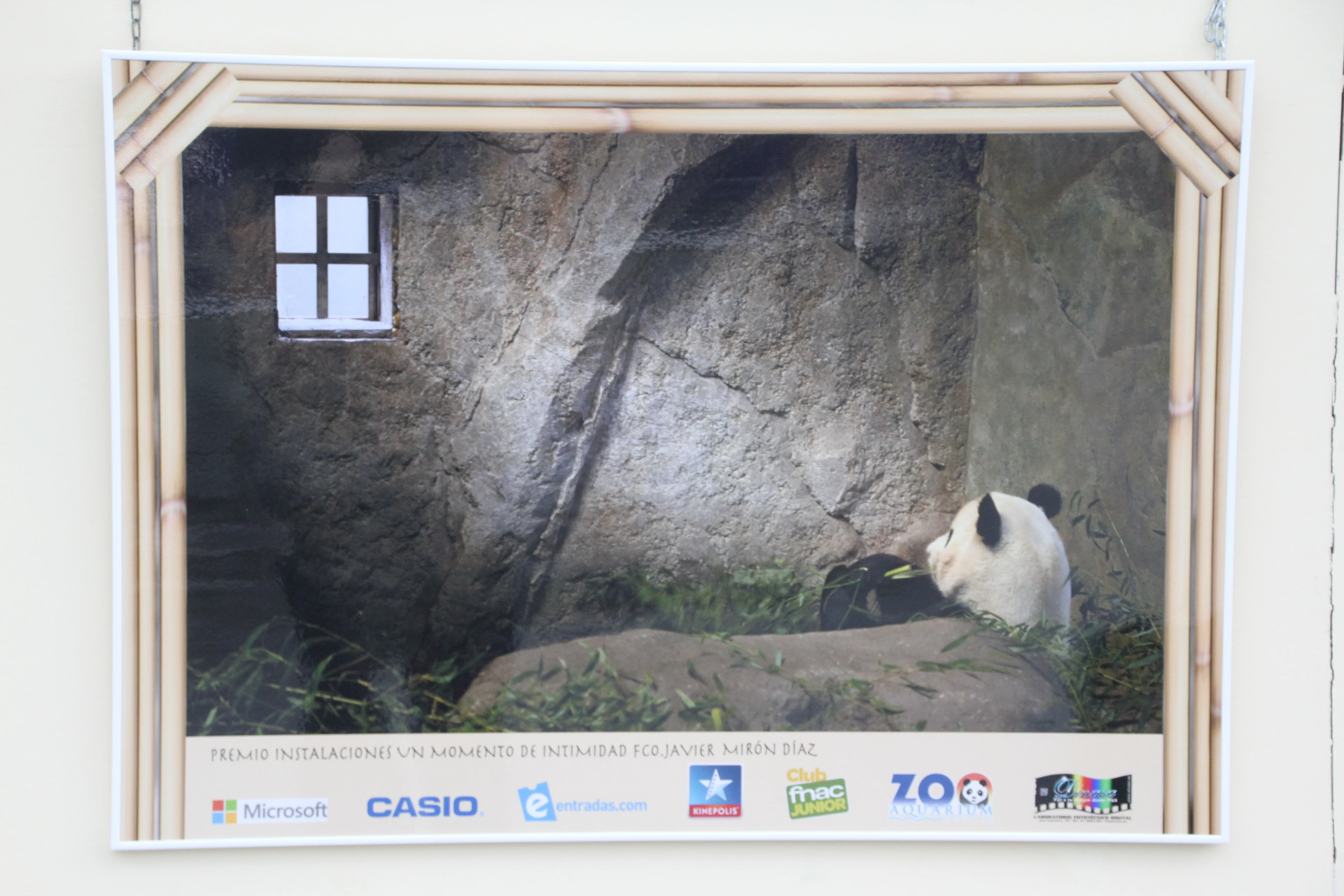 Zoo Madrid