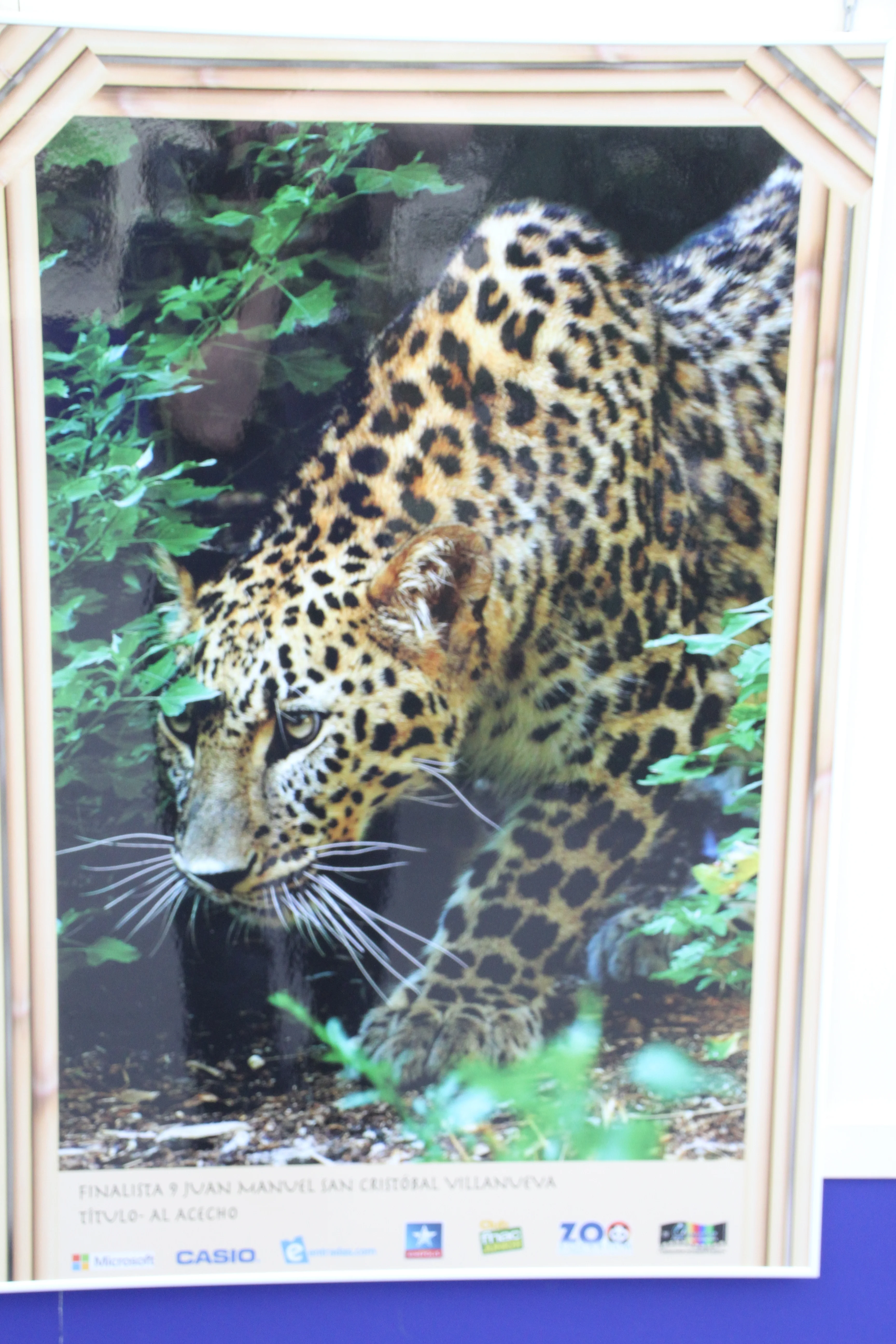 Zoo Madrid
