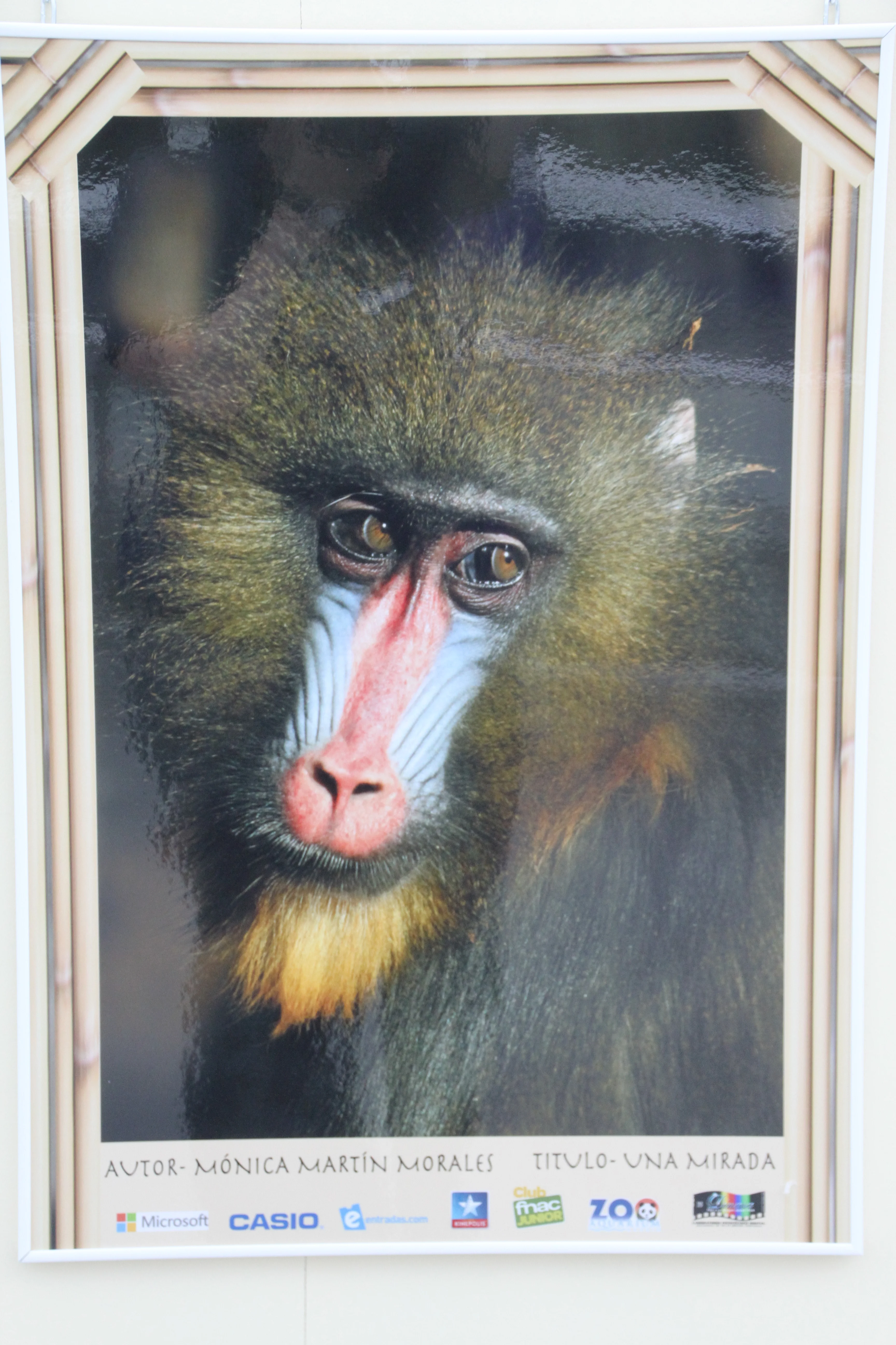 Zoo Madrid