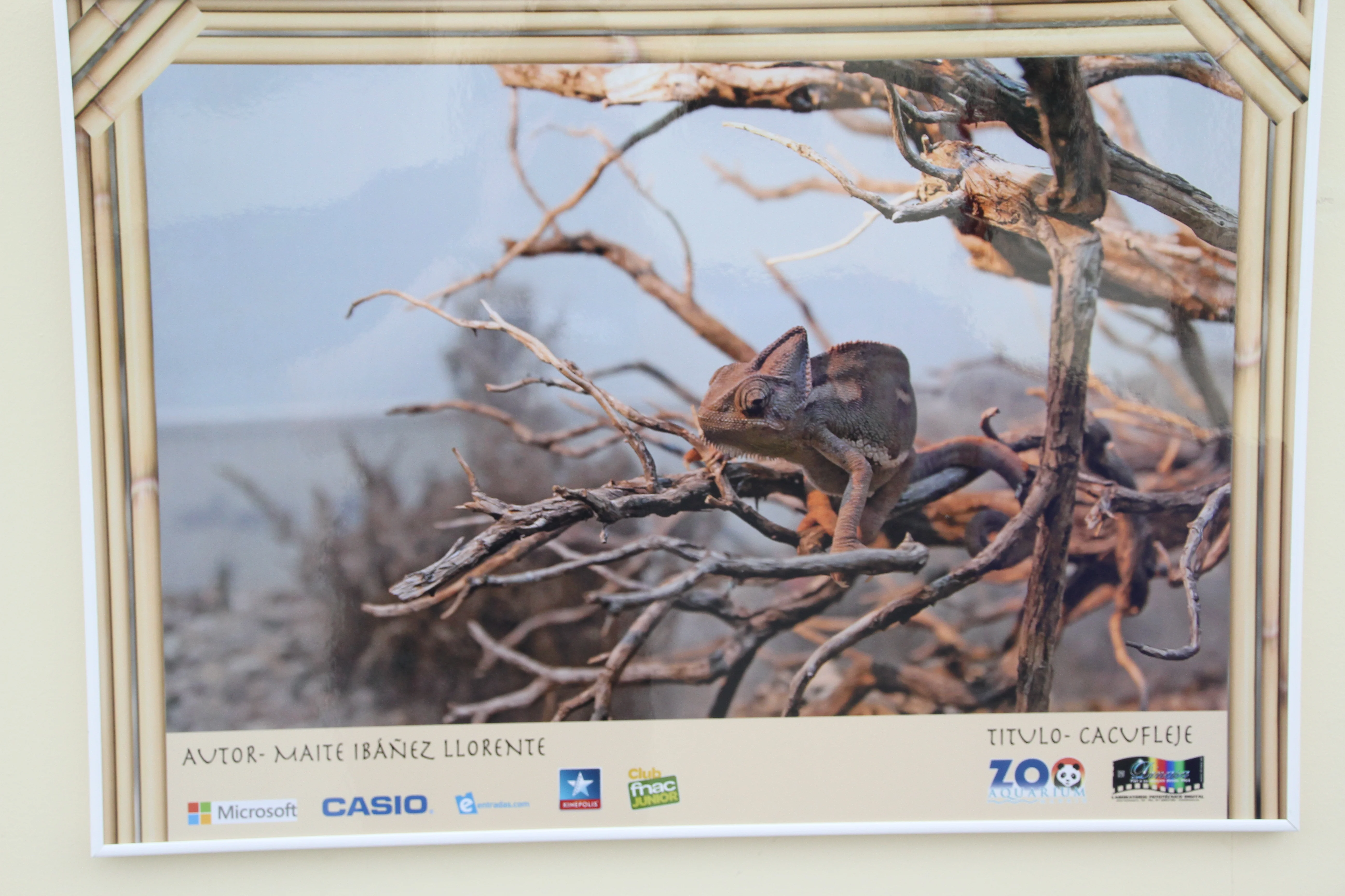 Zoo Madrid