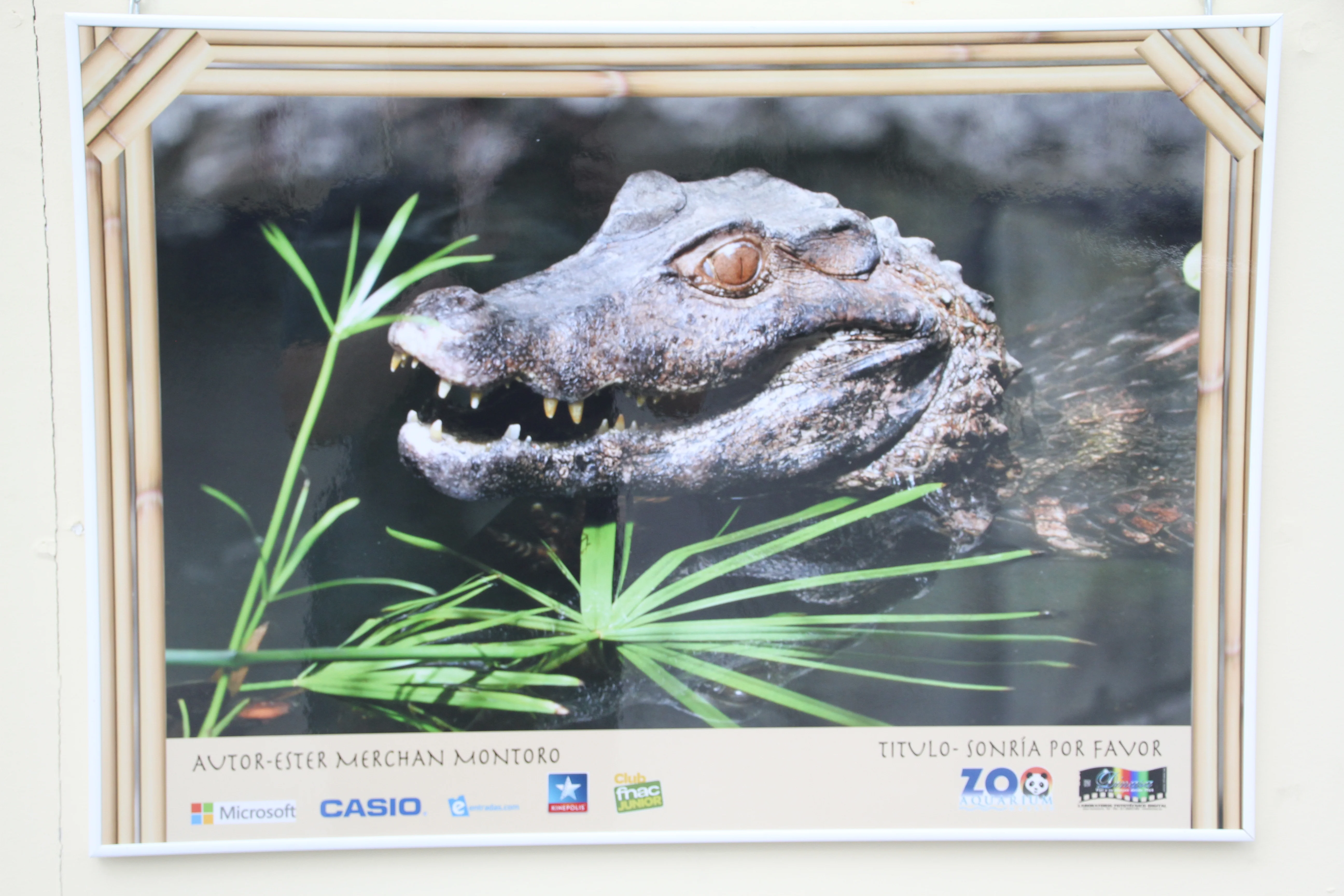 Zoo Madrid