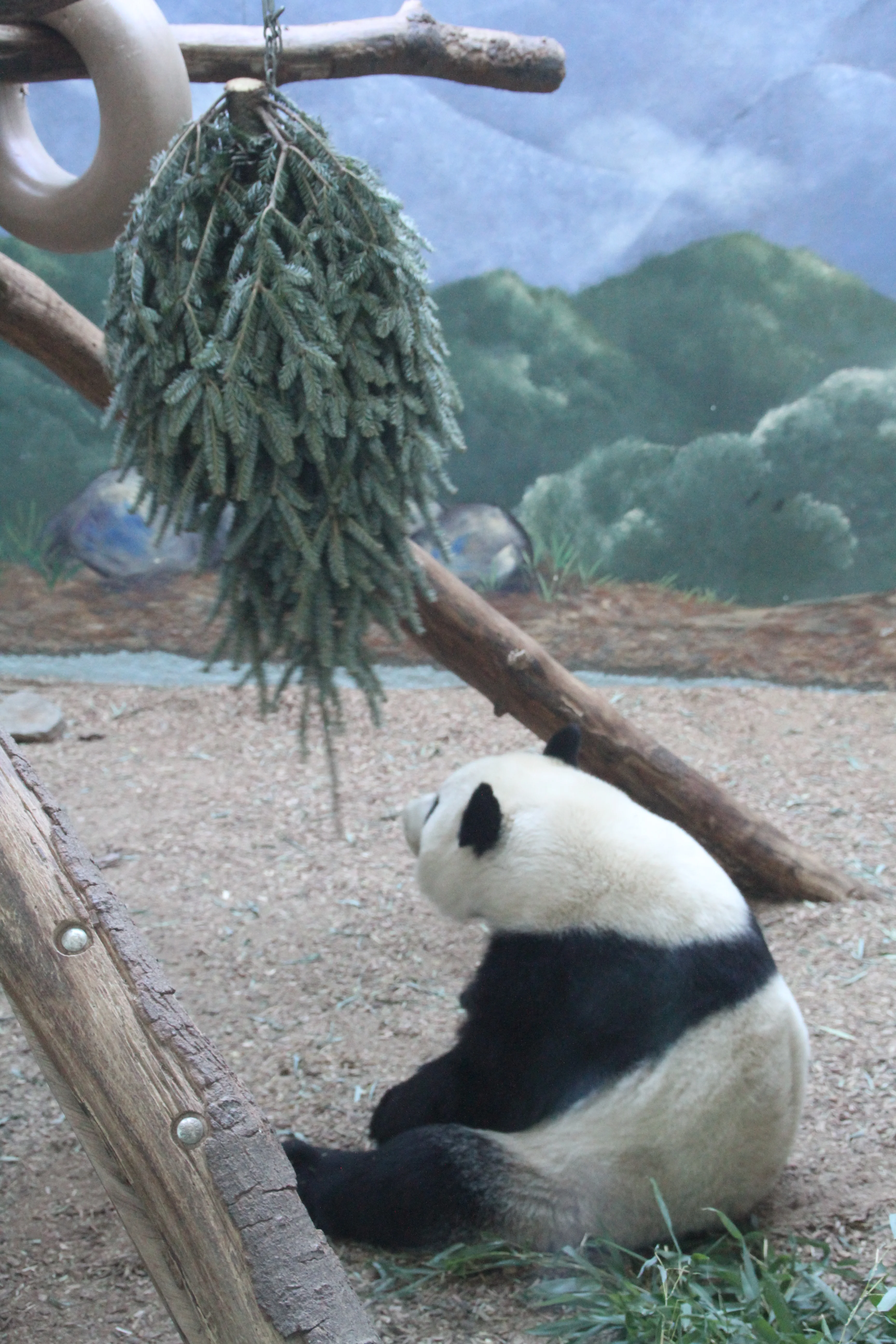 Zoo Atlanta