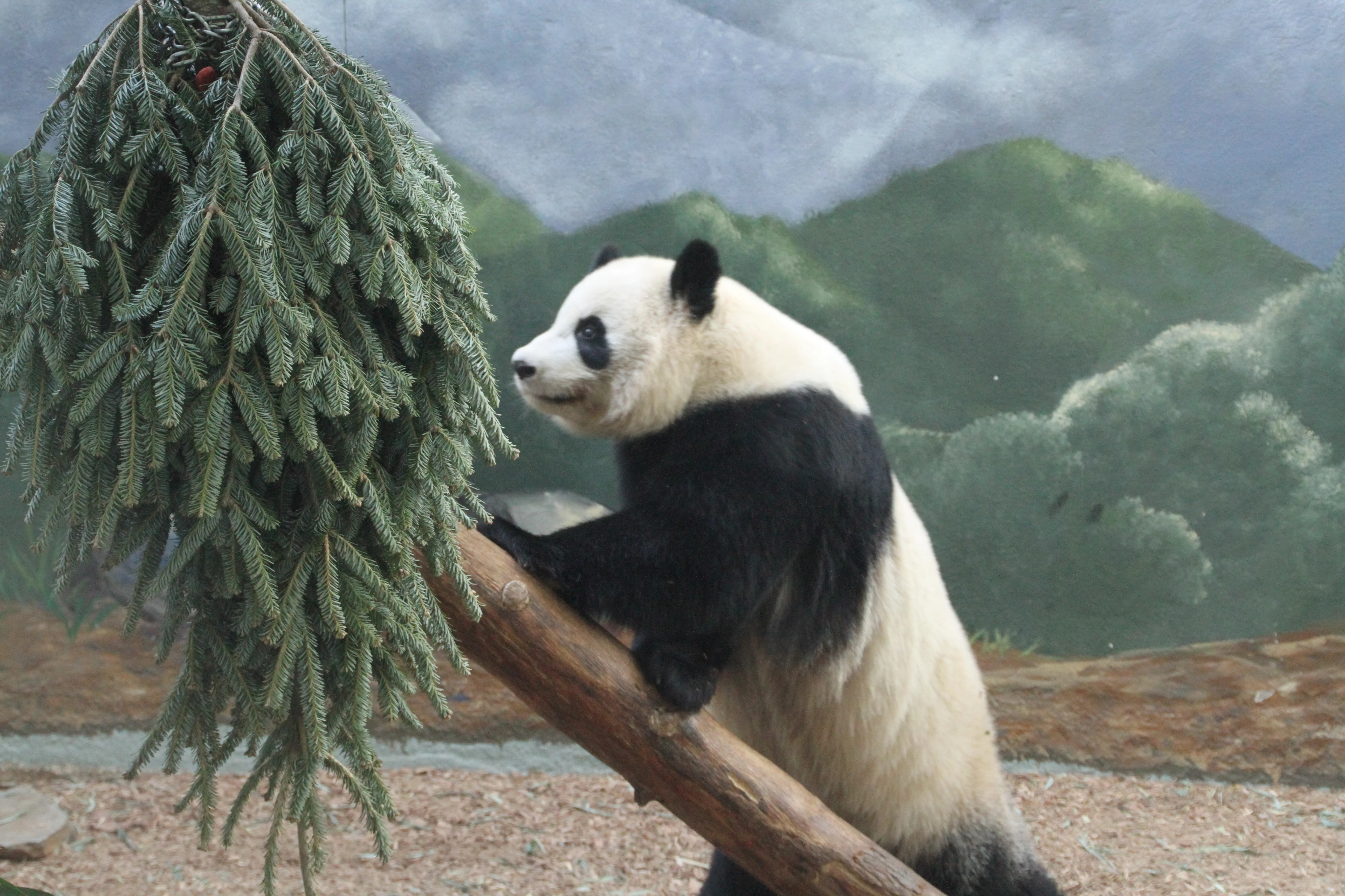Zoo Atlanta