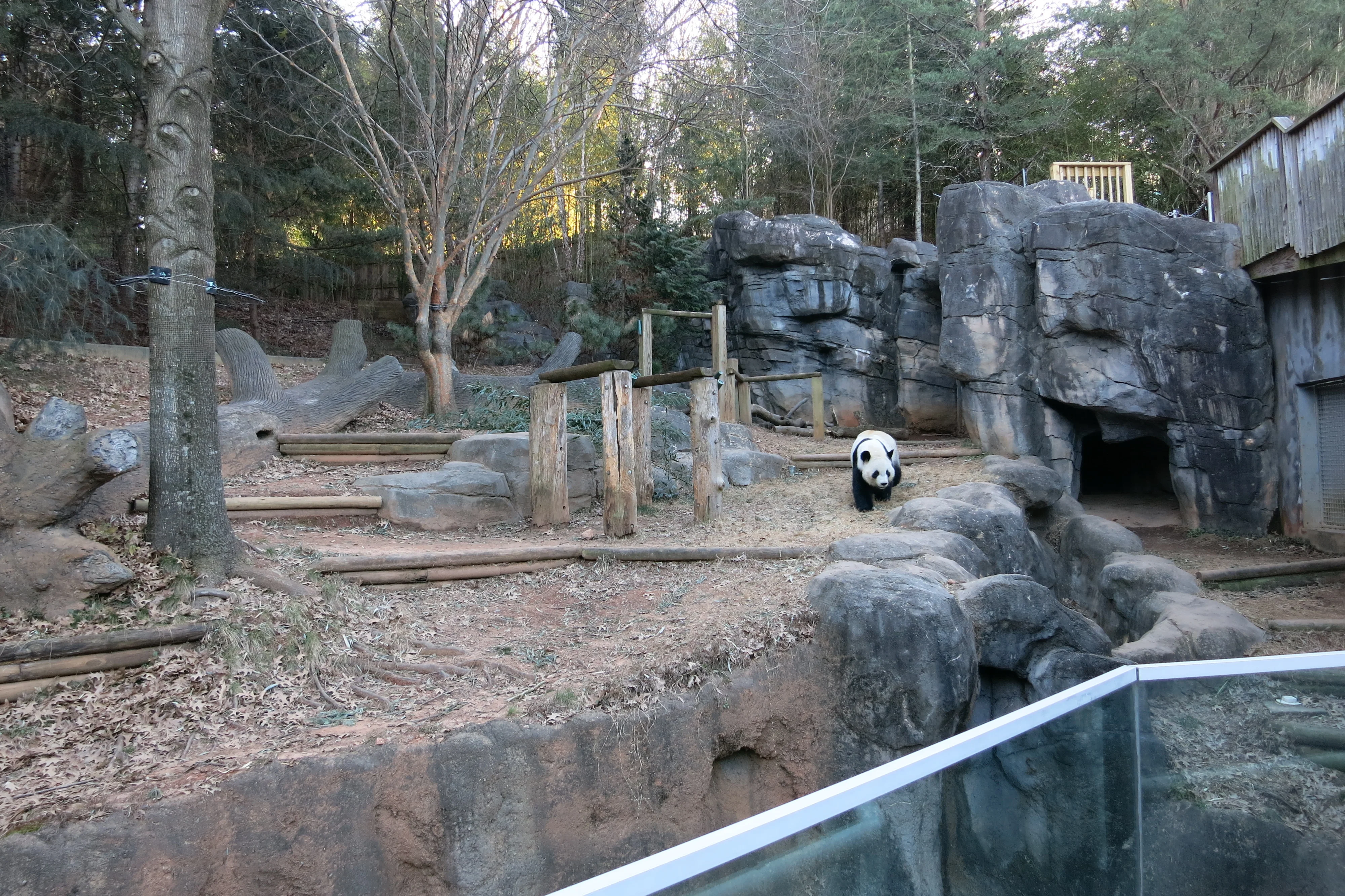 Zoo Atlanta