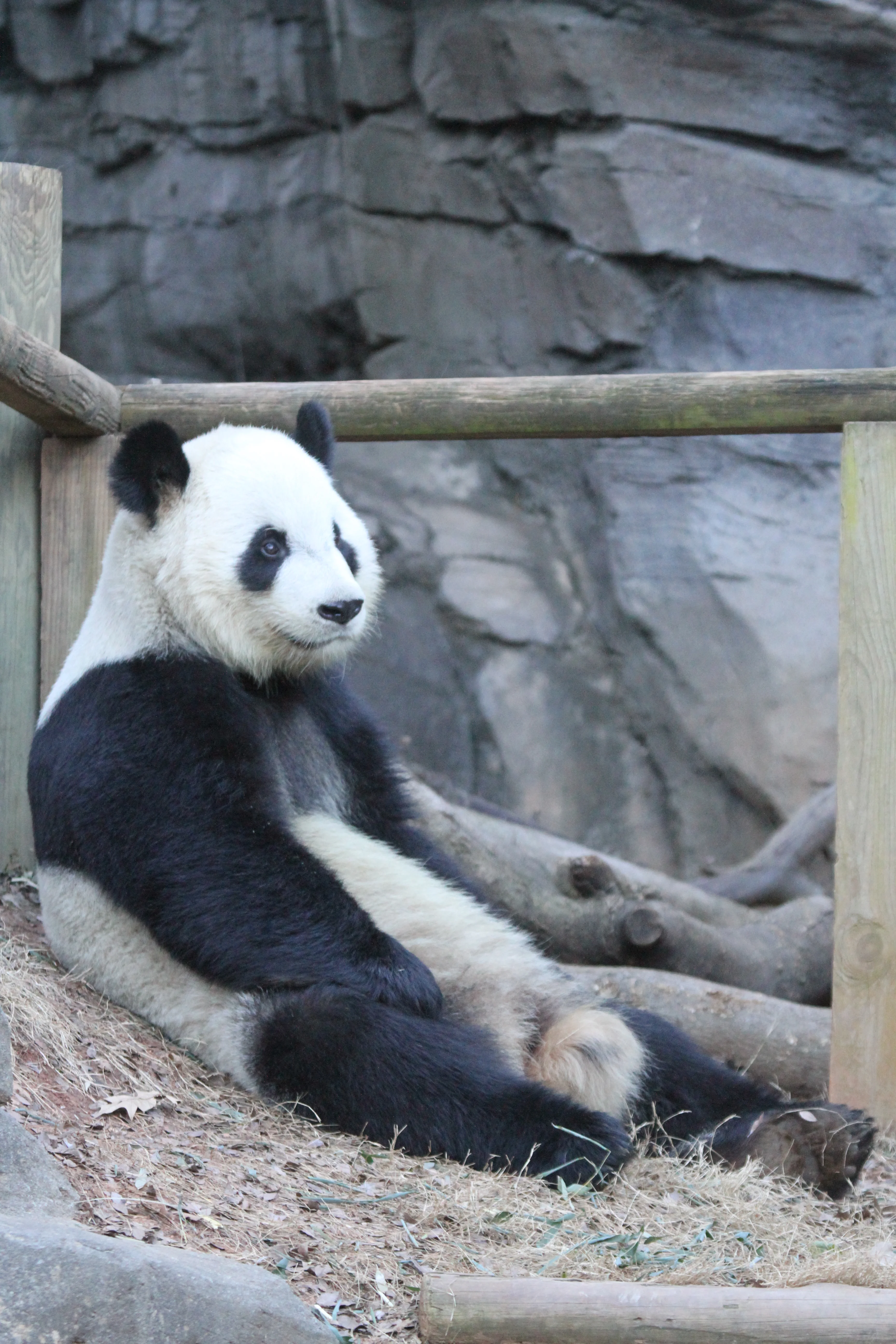 Zoo Atlanta