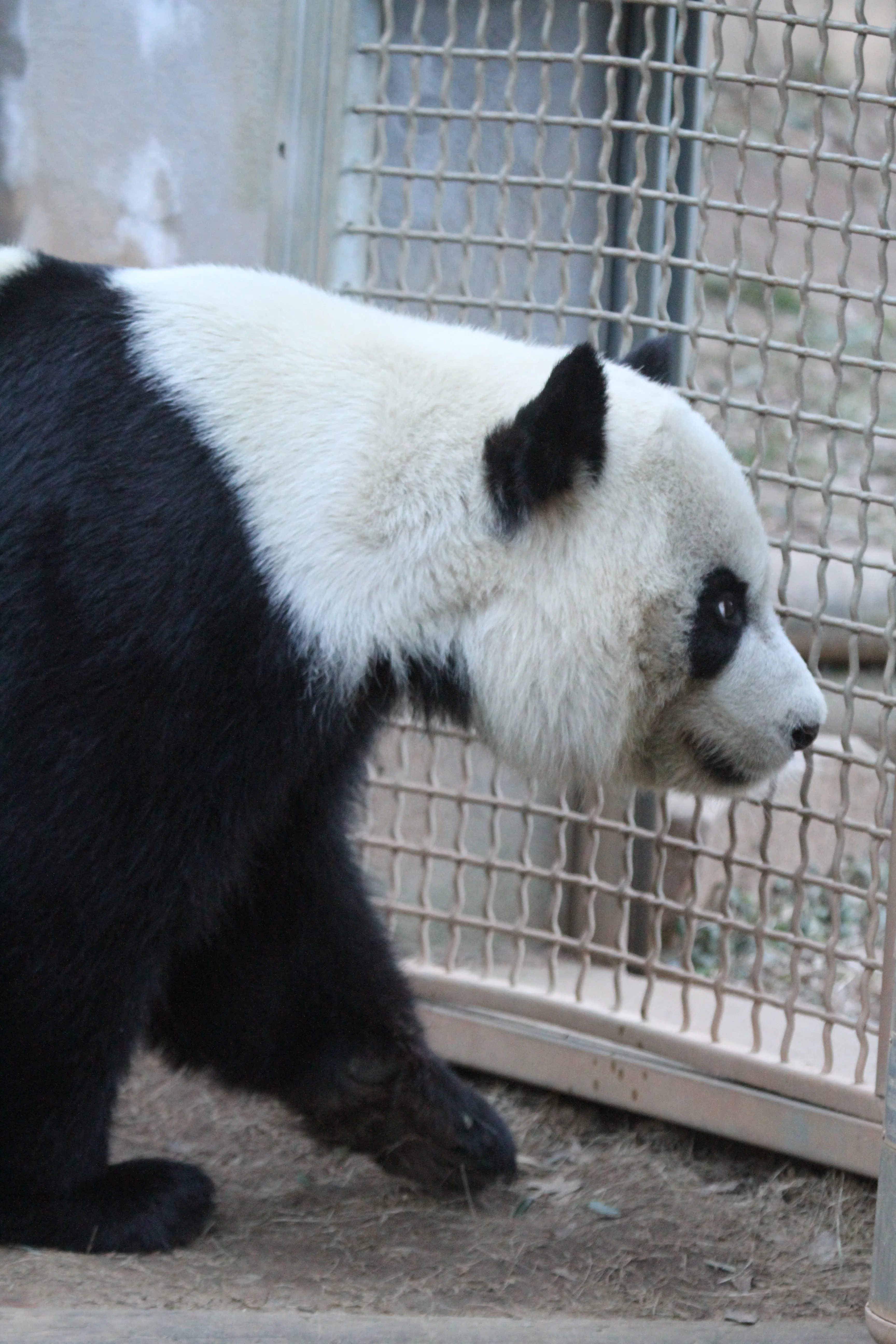 Zoo Atlanta