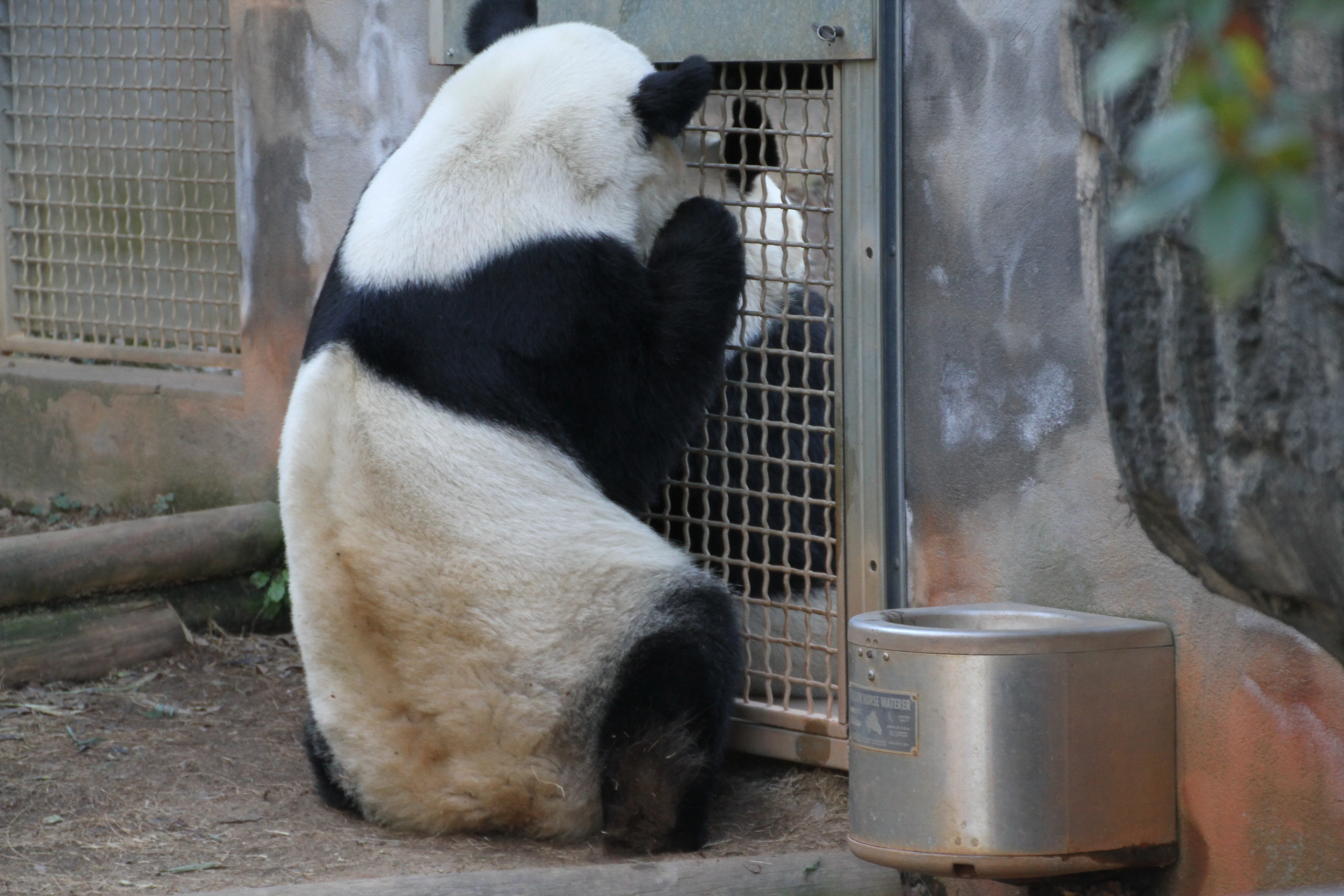 Zoo Atlanta