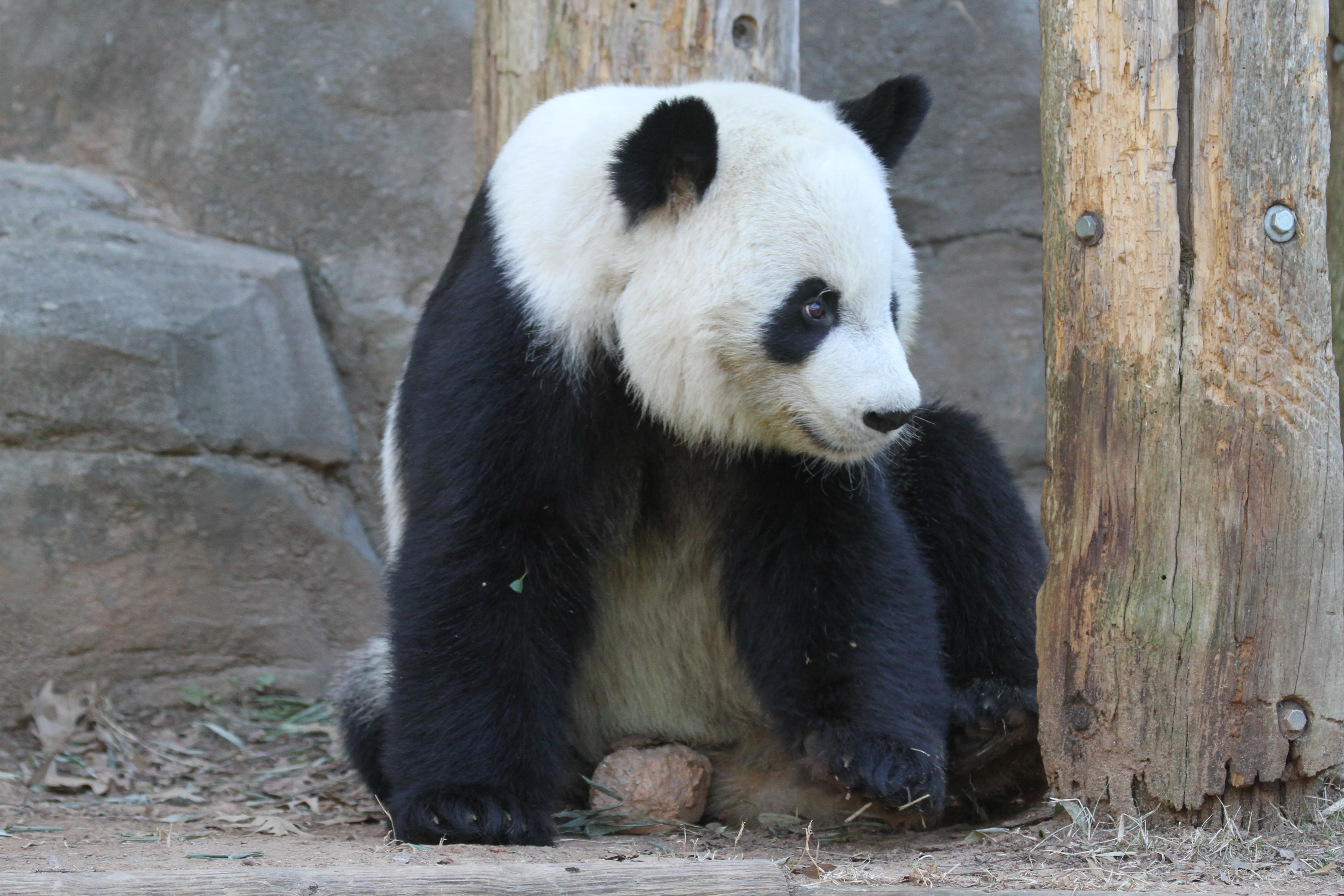 Zoo Atlanta