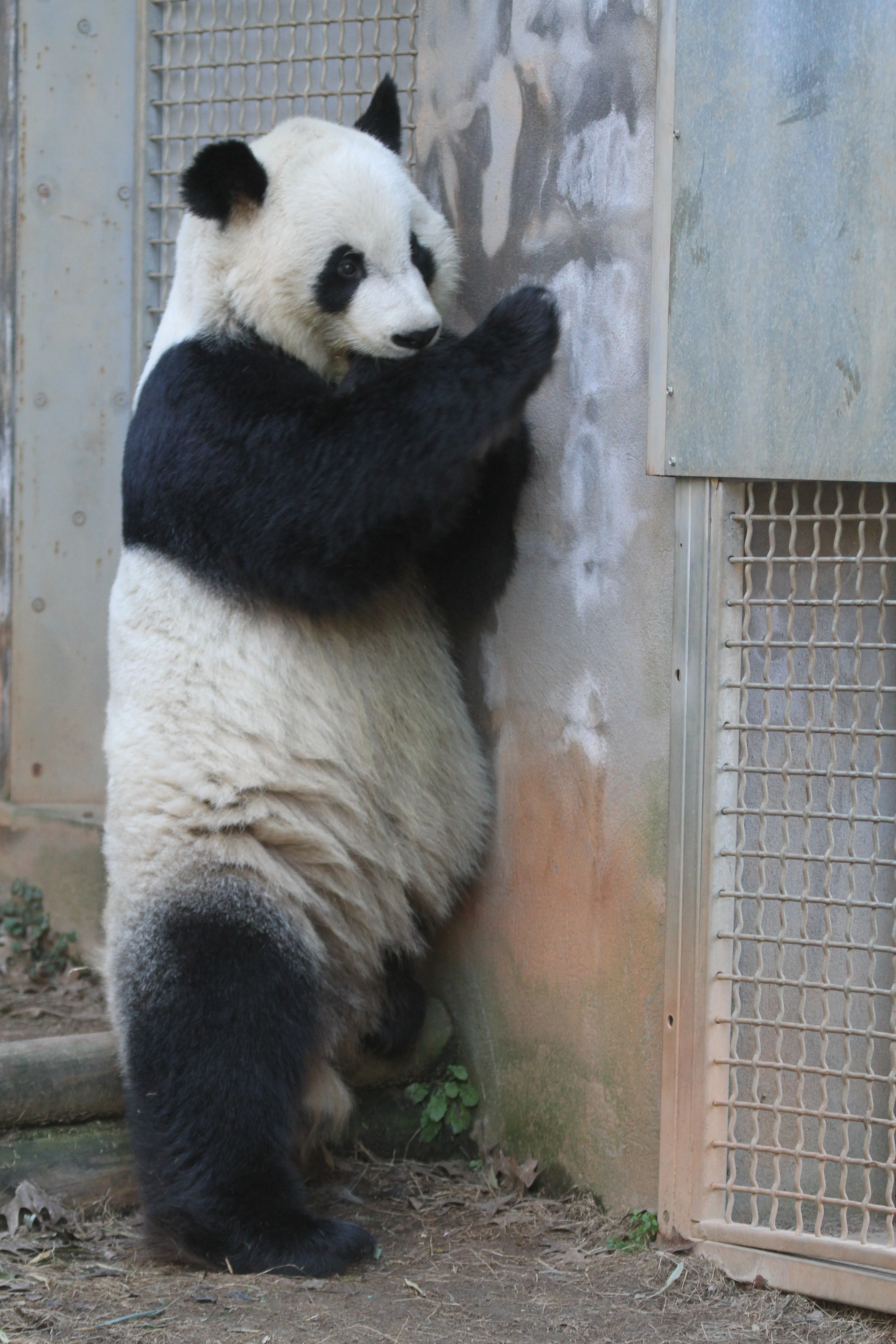 Zoo Atlanta