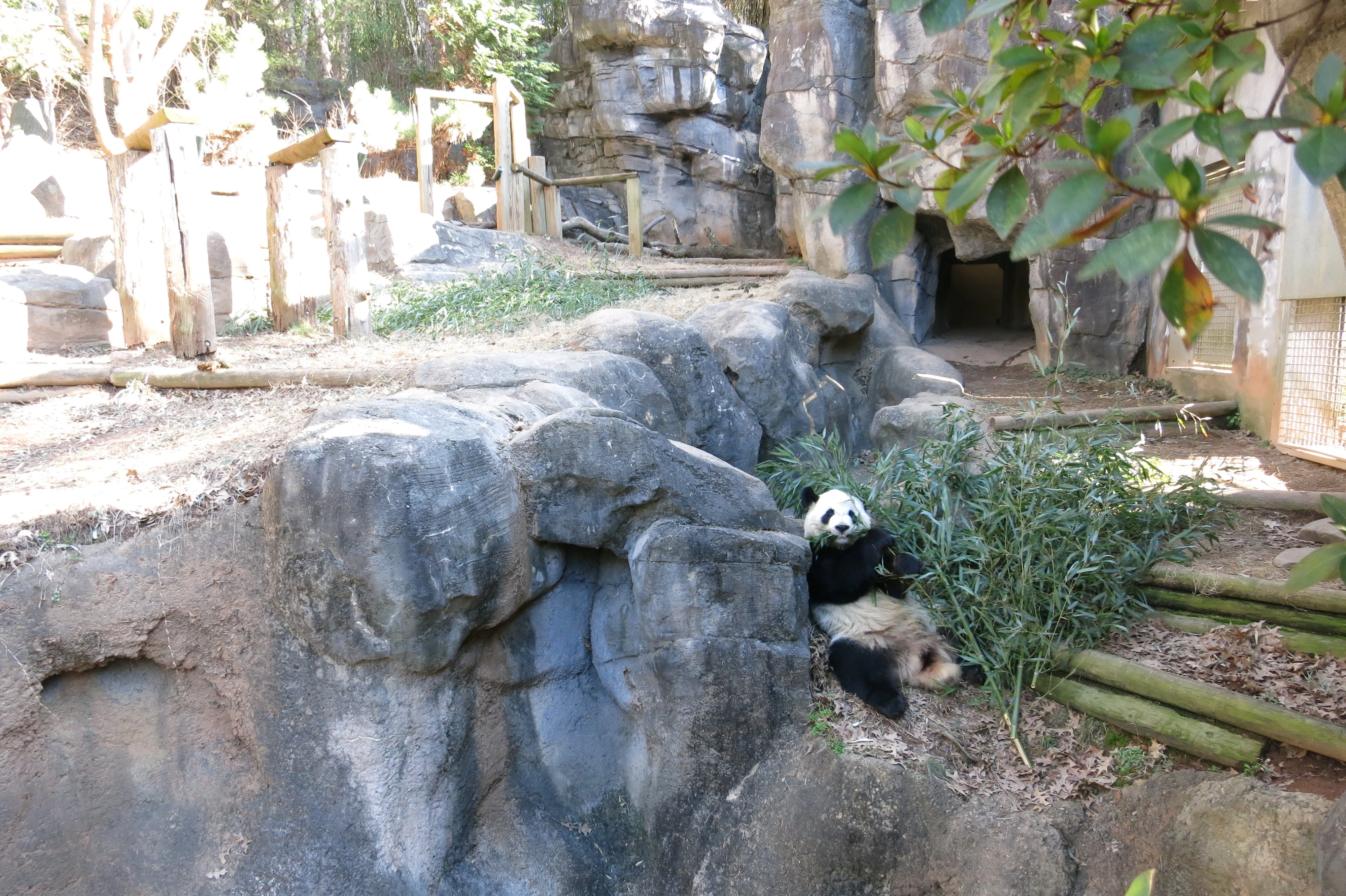 Zoo Atlanta