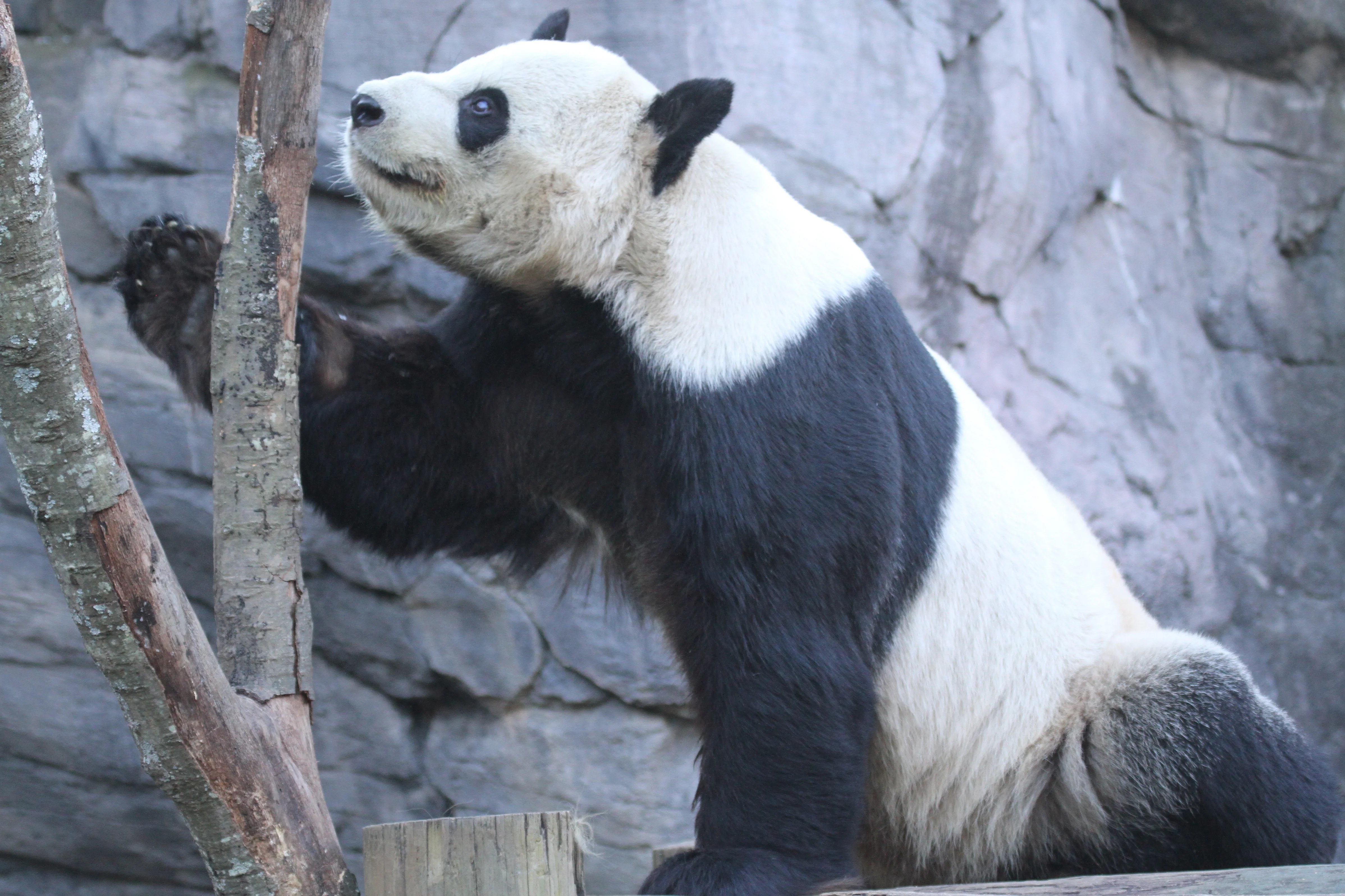 Zoo Atlanta