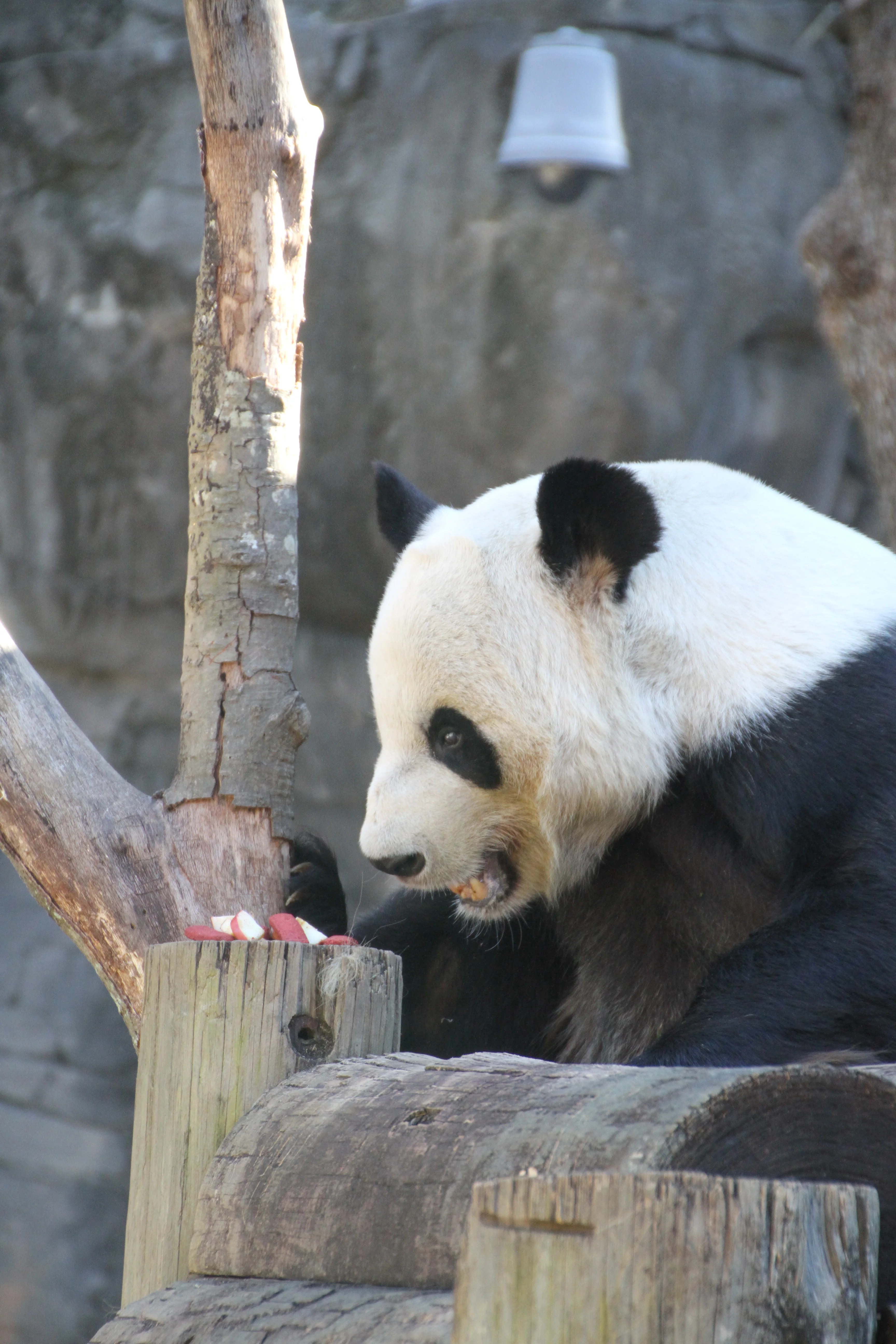 Zoo Atlanta