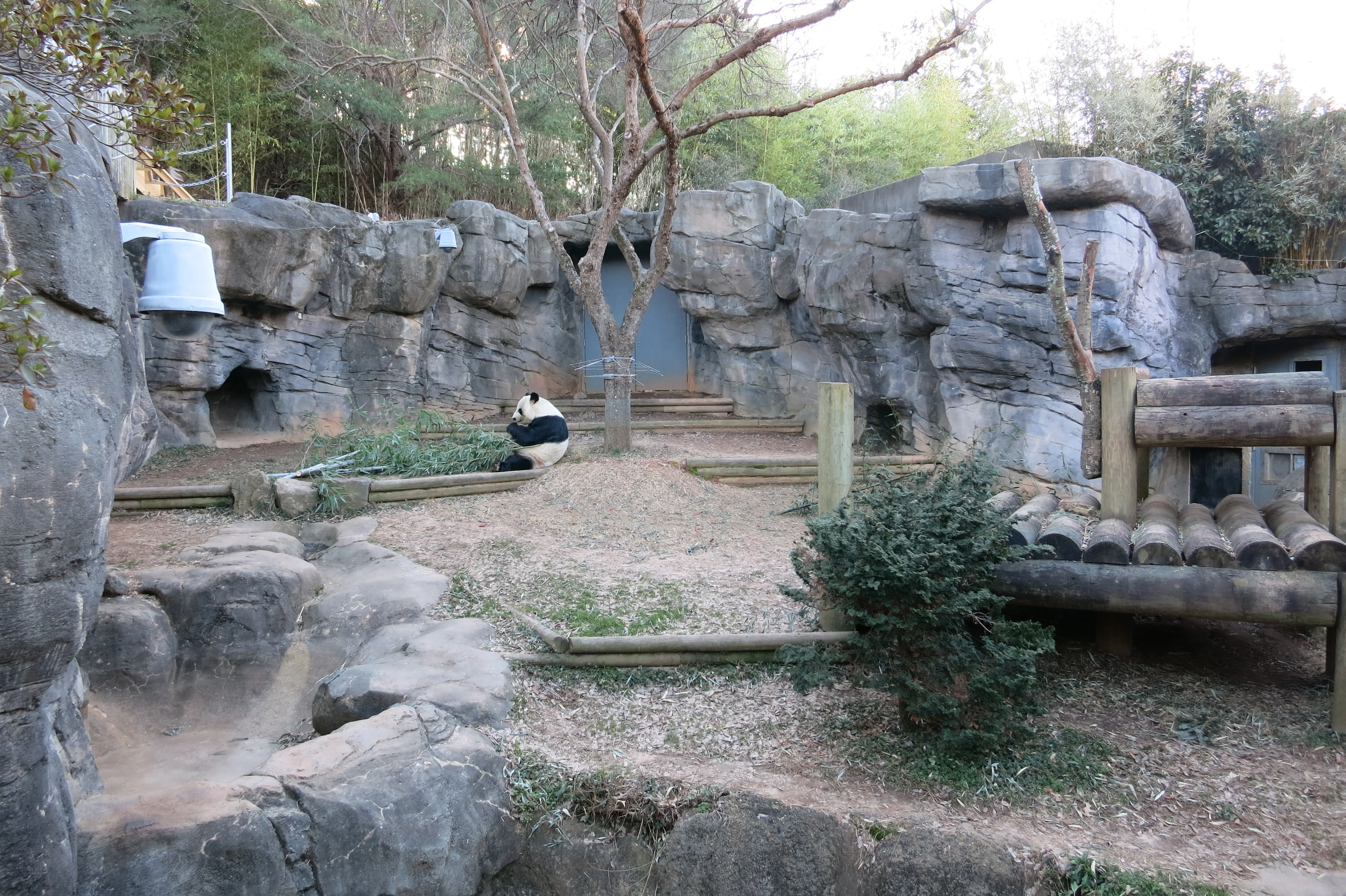 Zoo Atlanta