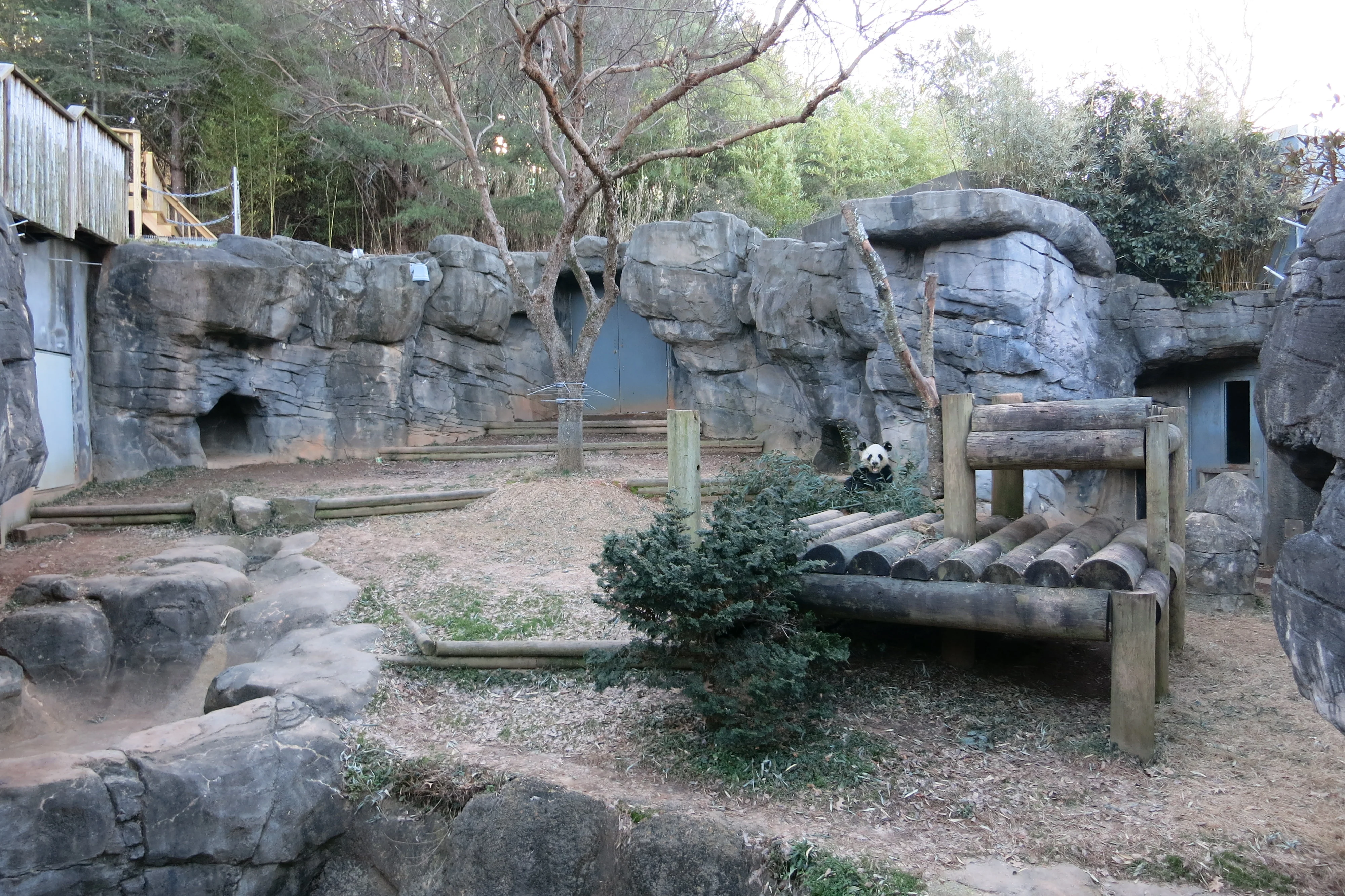 Zoo Atlanta