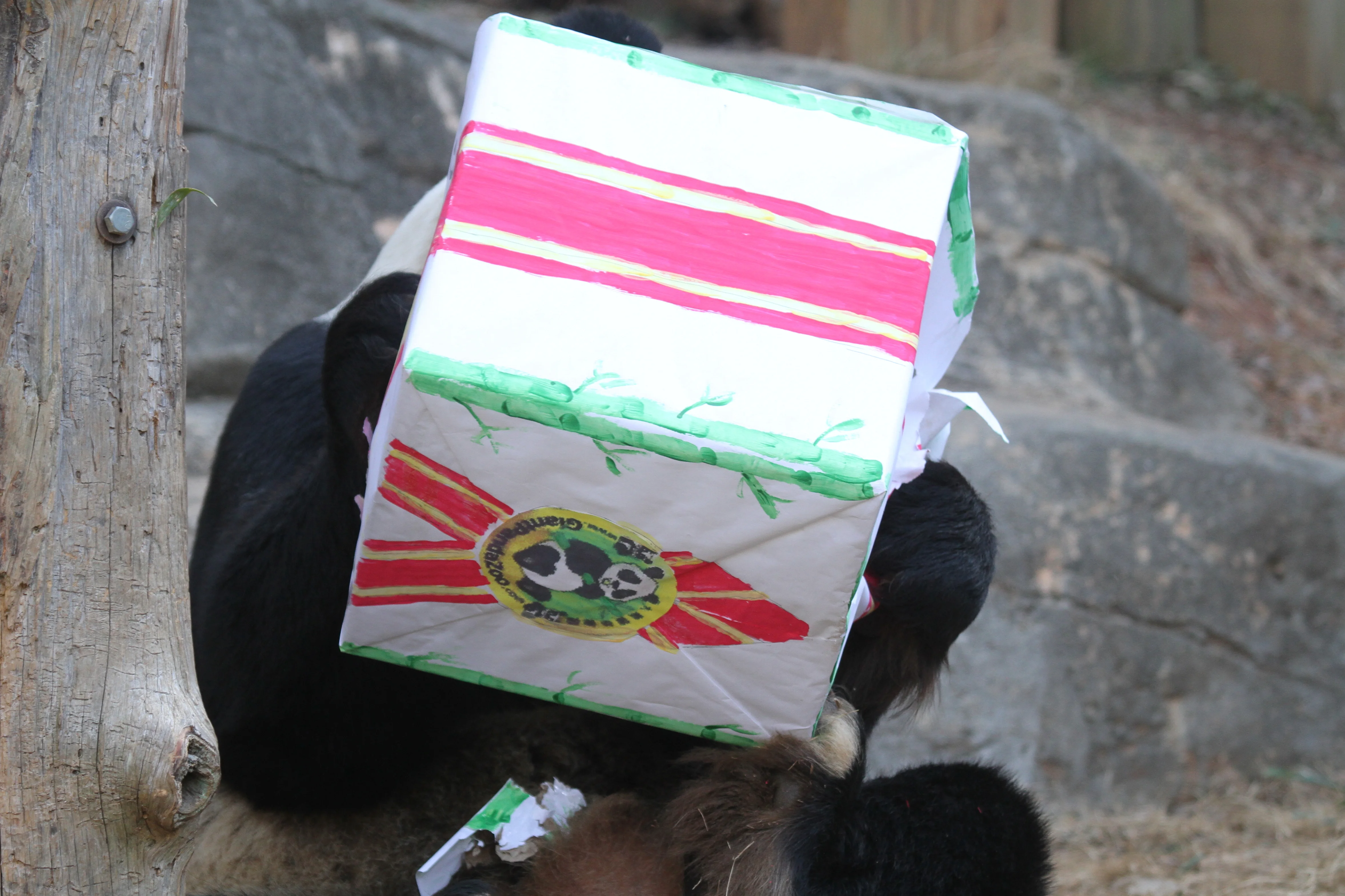 Giant Panda Zoo Awards 2013 Ceremony