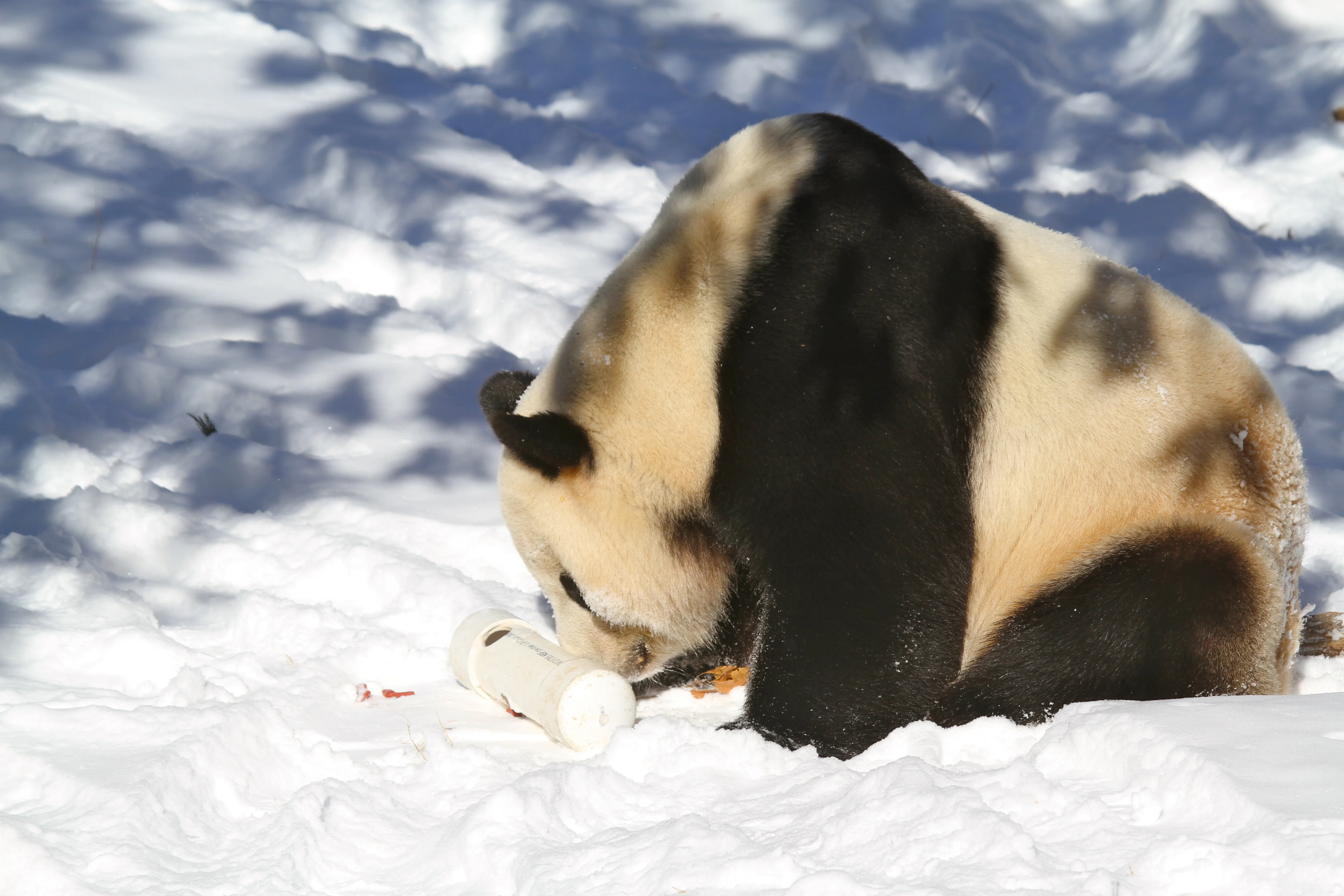 Smithsonian's National Zoo