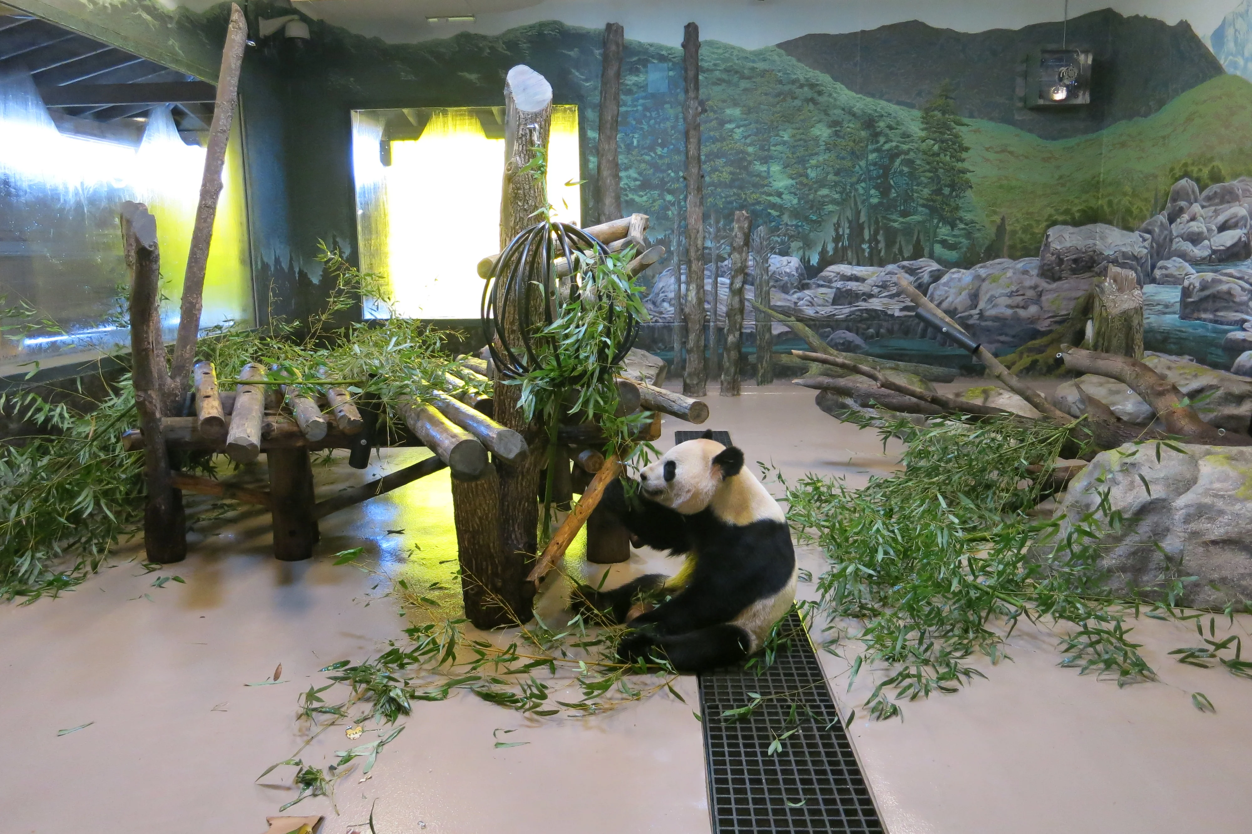 Toronto Zoo