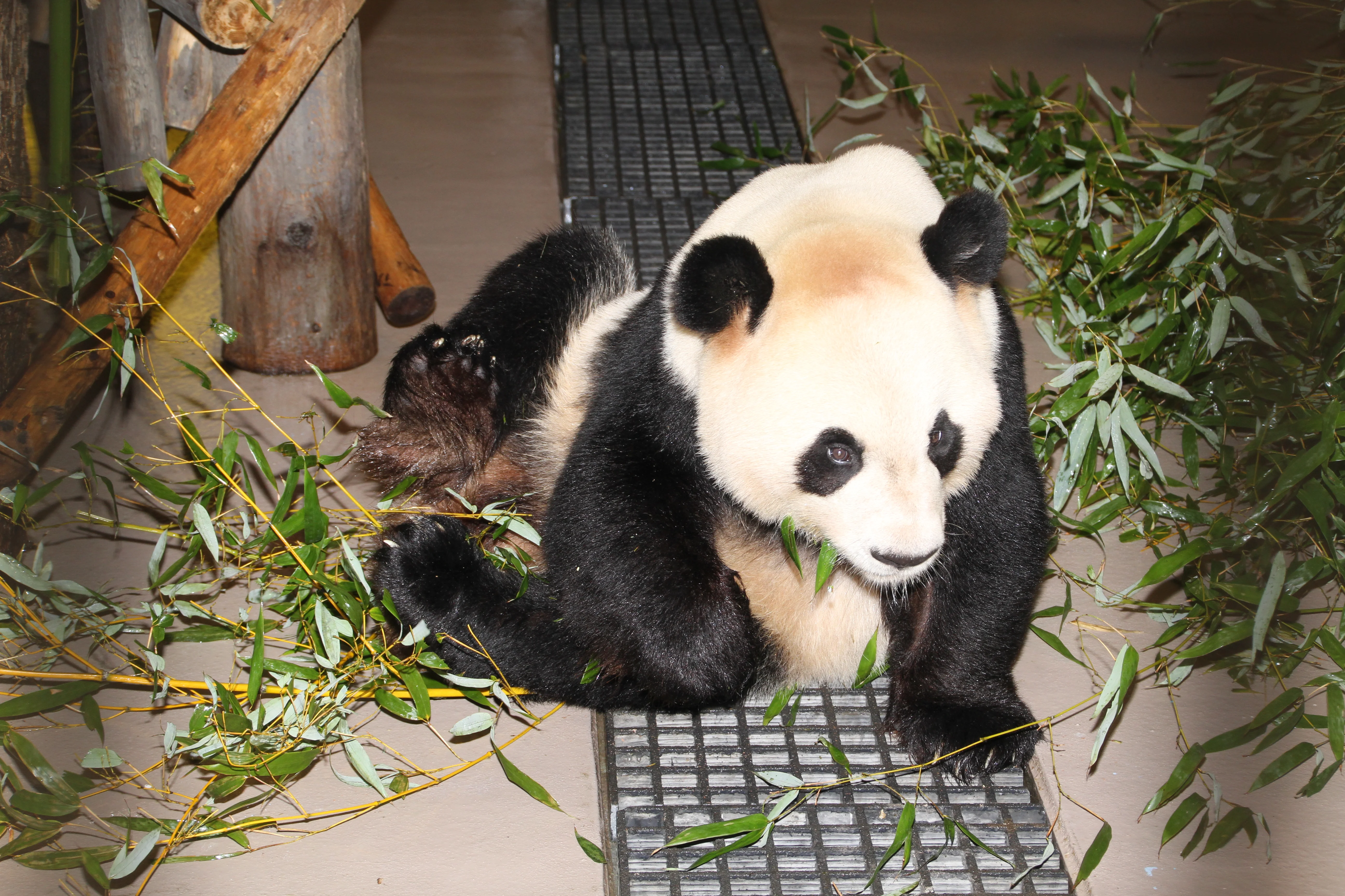 Toronto Zoo