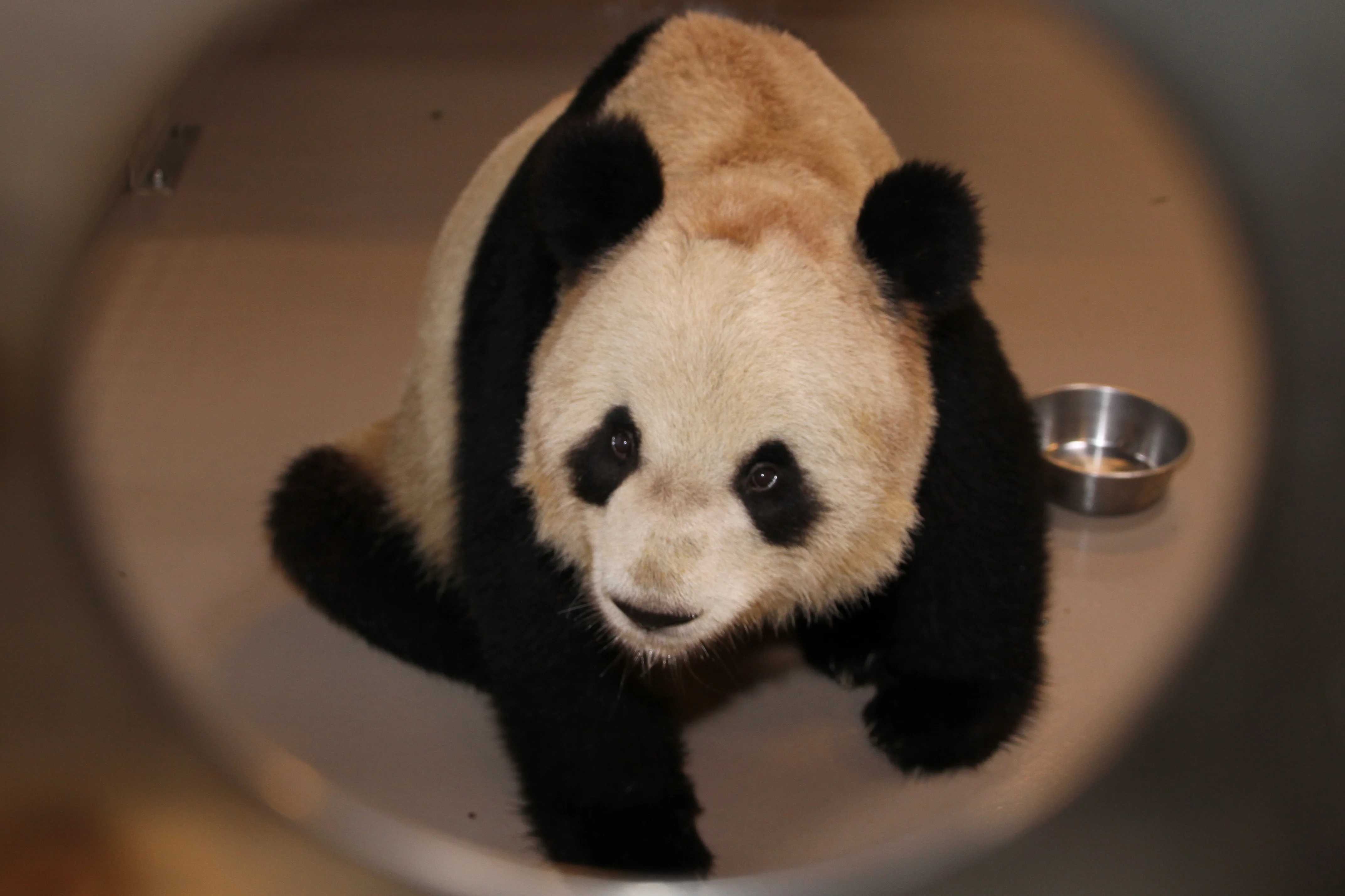 Toronto Zoo
