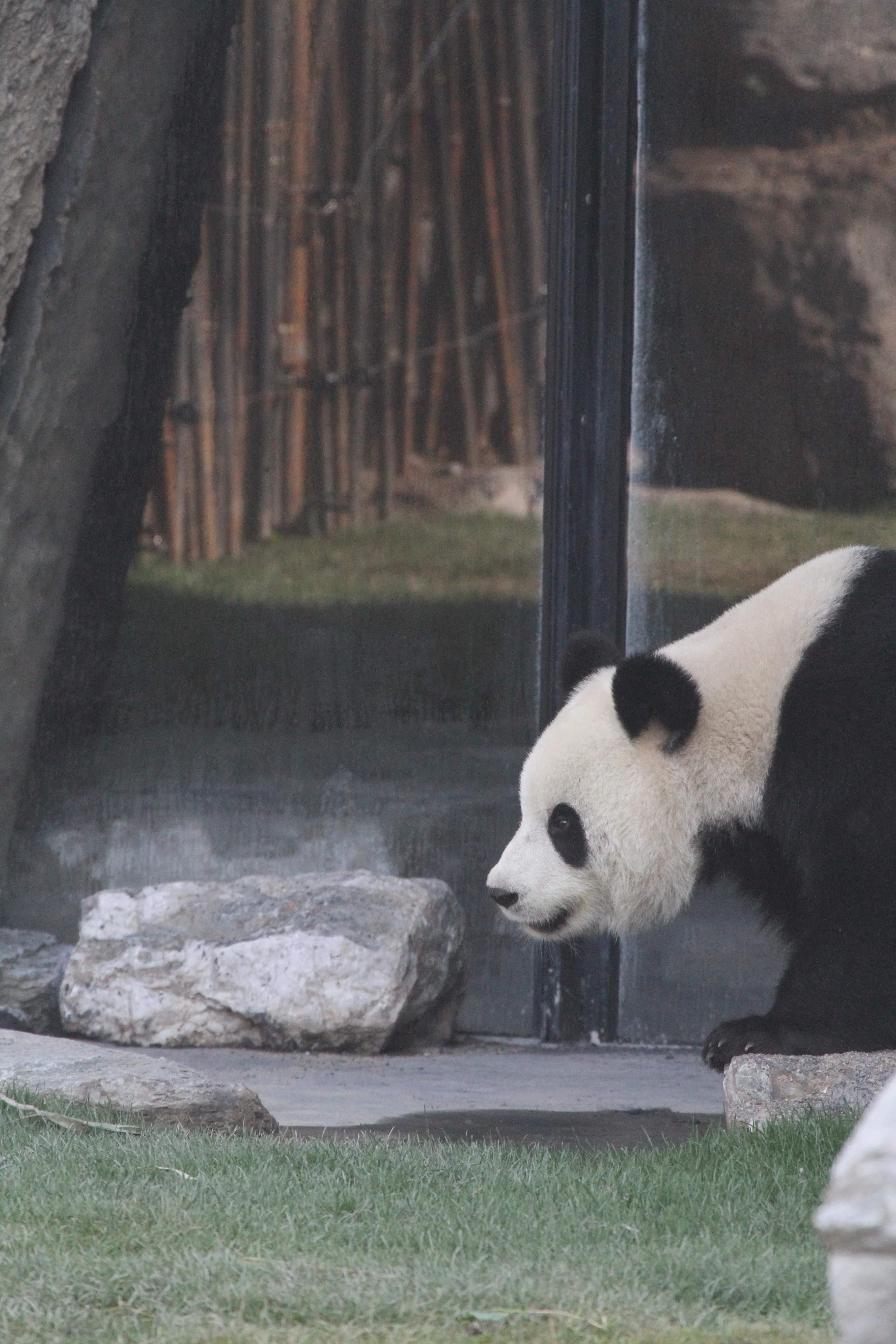 Pairi Daiza