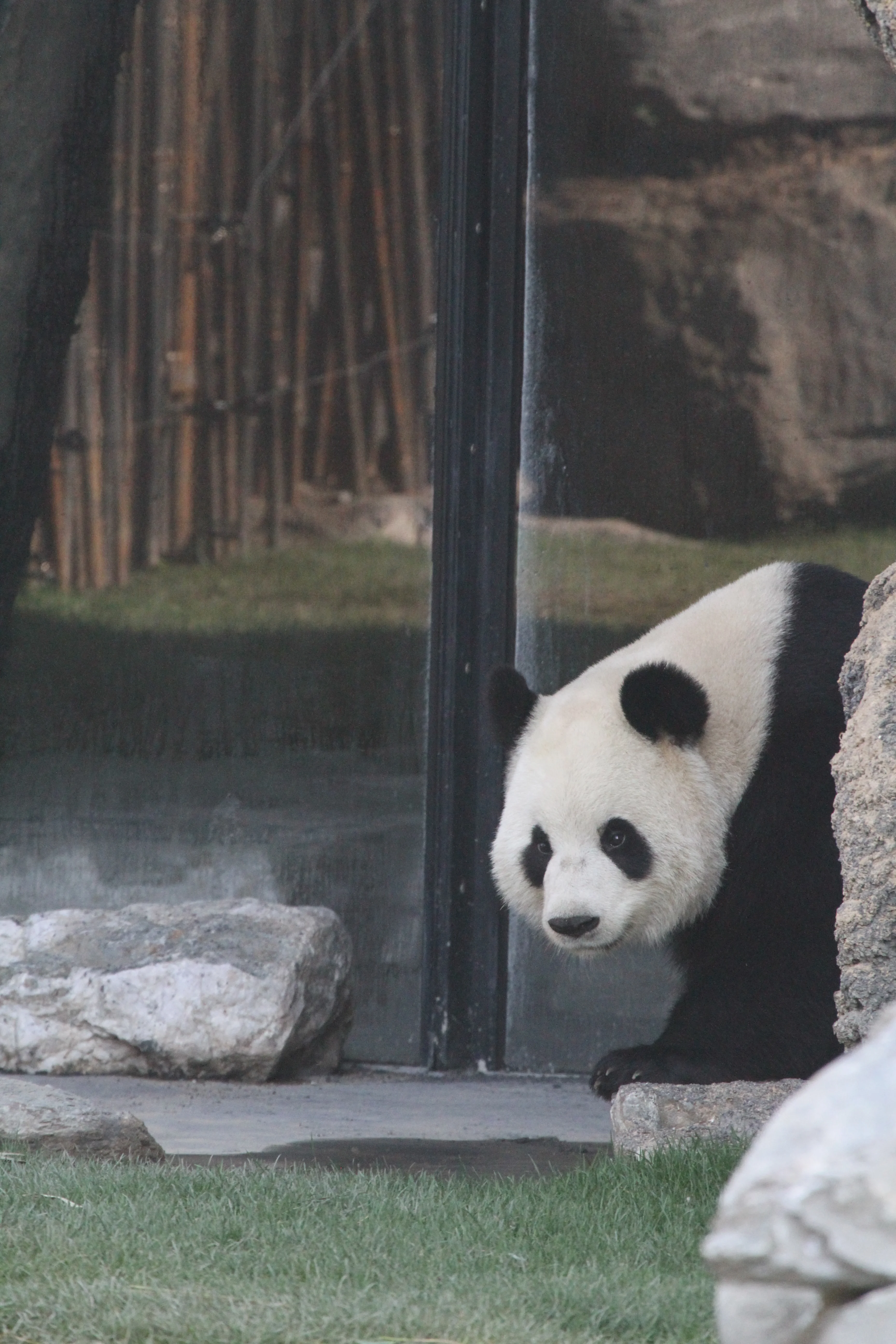 Pairi Daiza