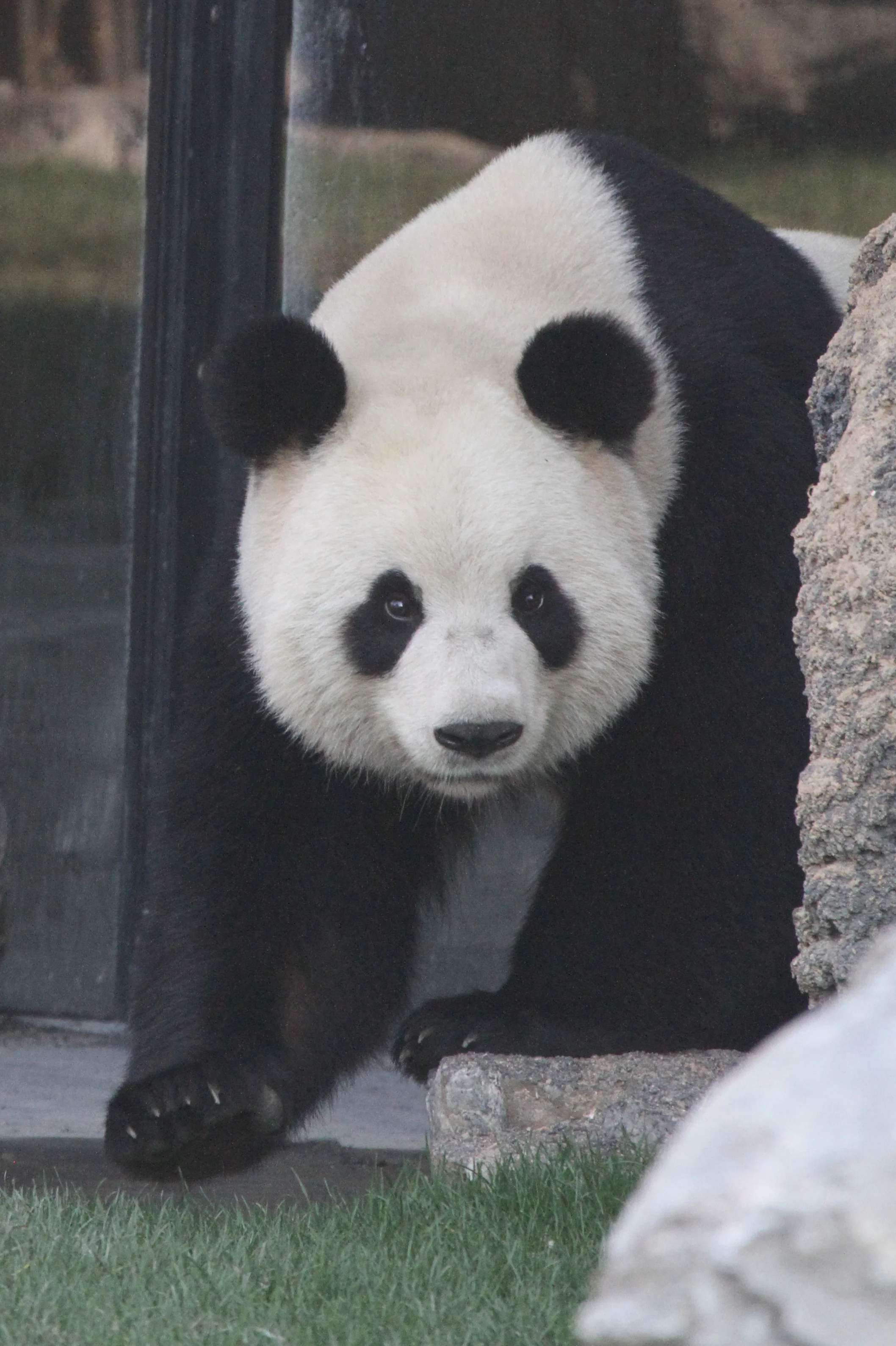 Pairi Daiza