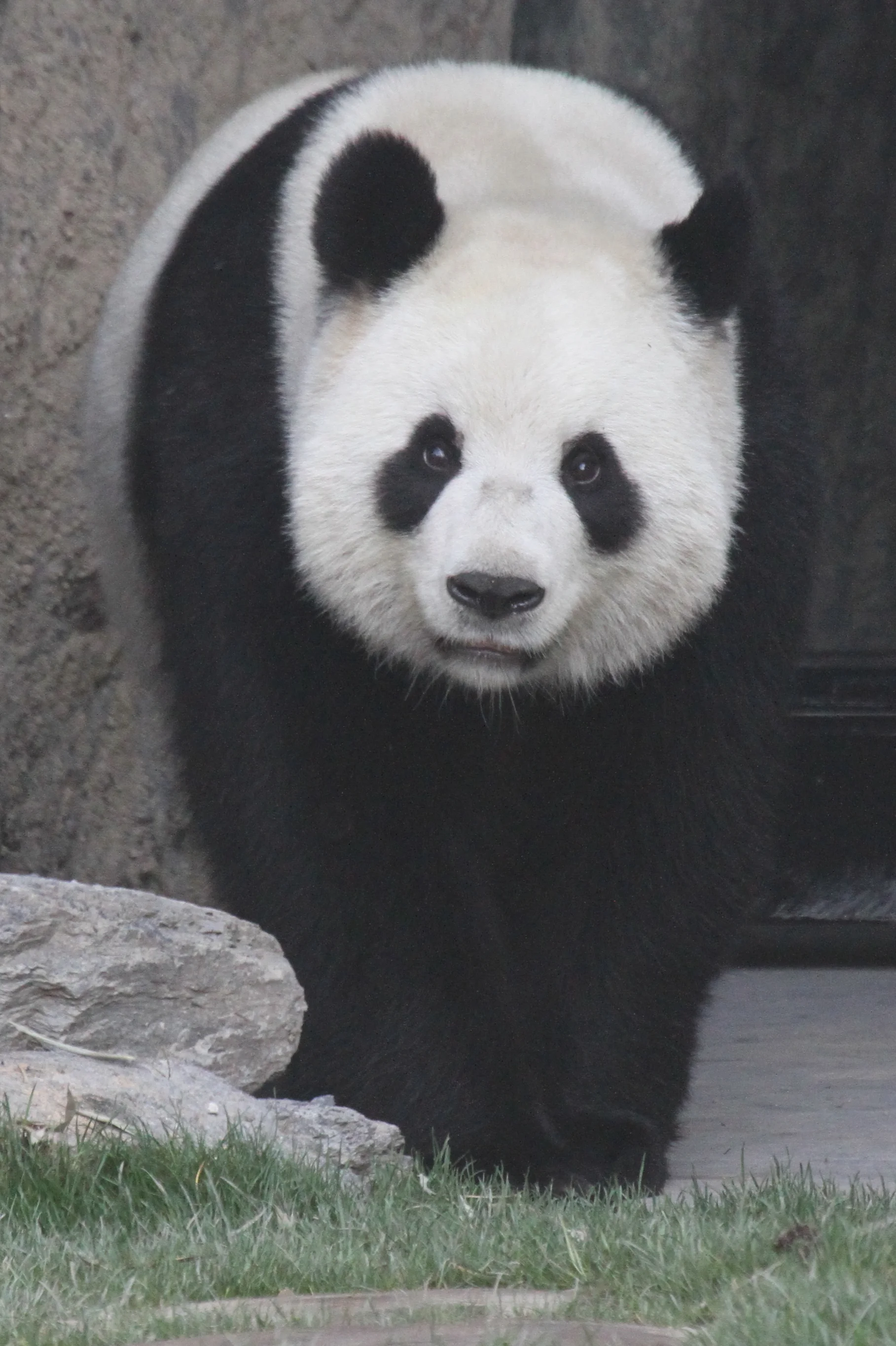 Pairi Daiza
