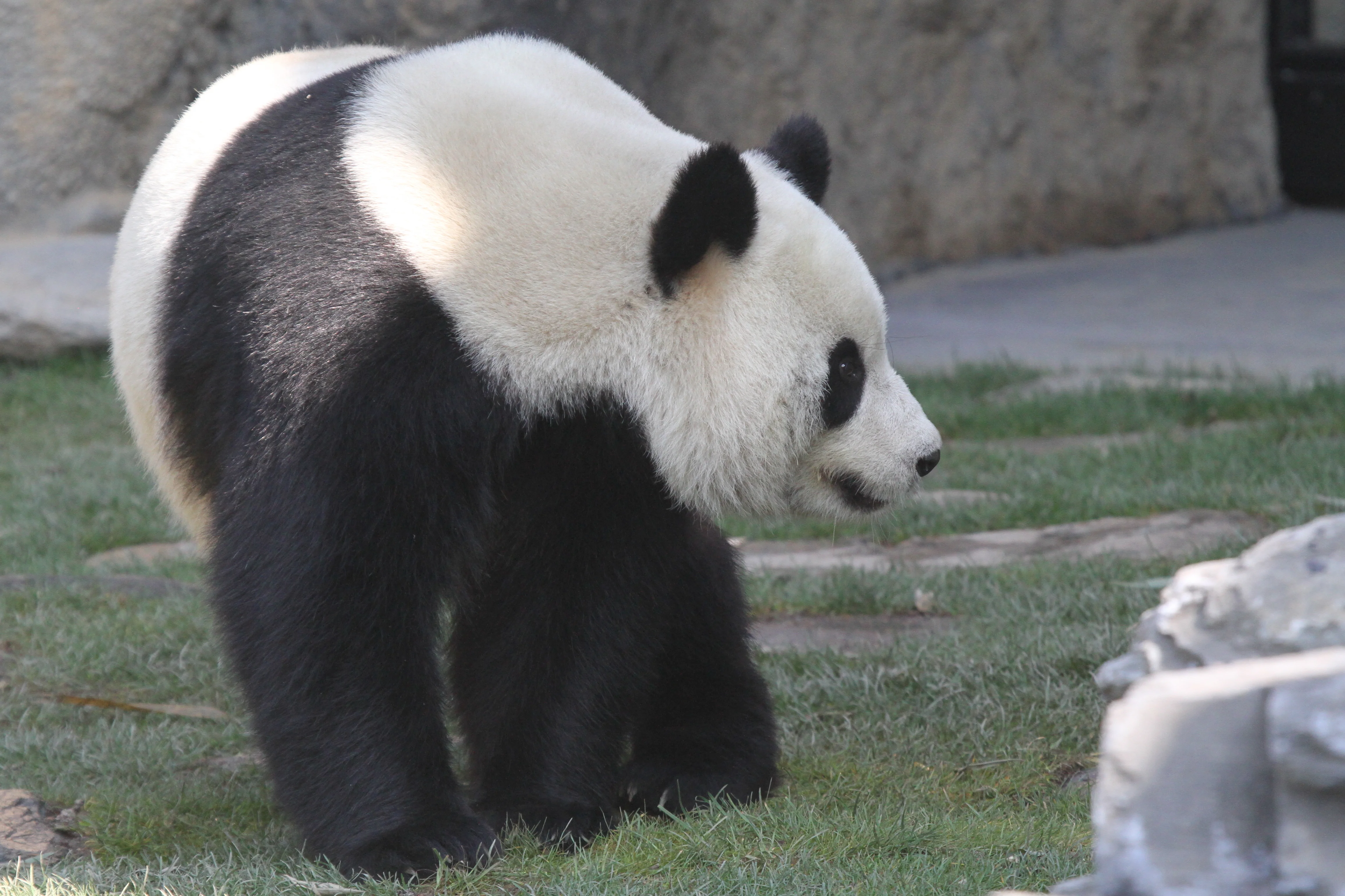 Pairi Daiza