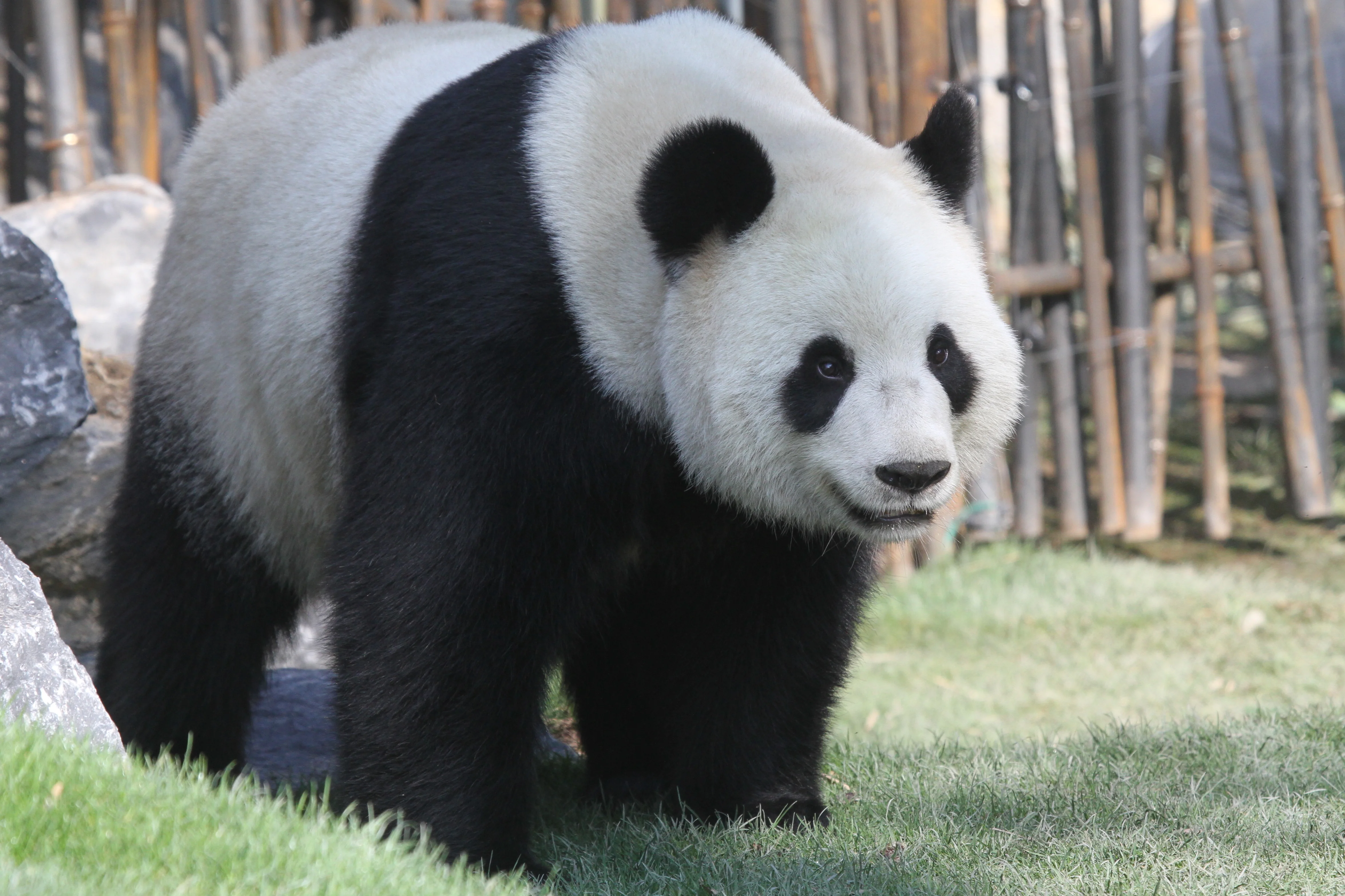 Pairi Daiza