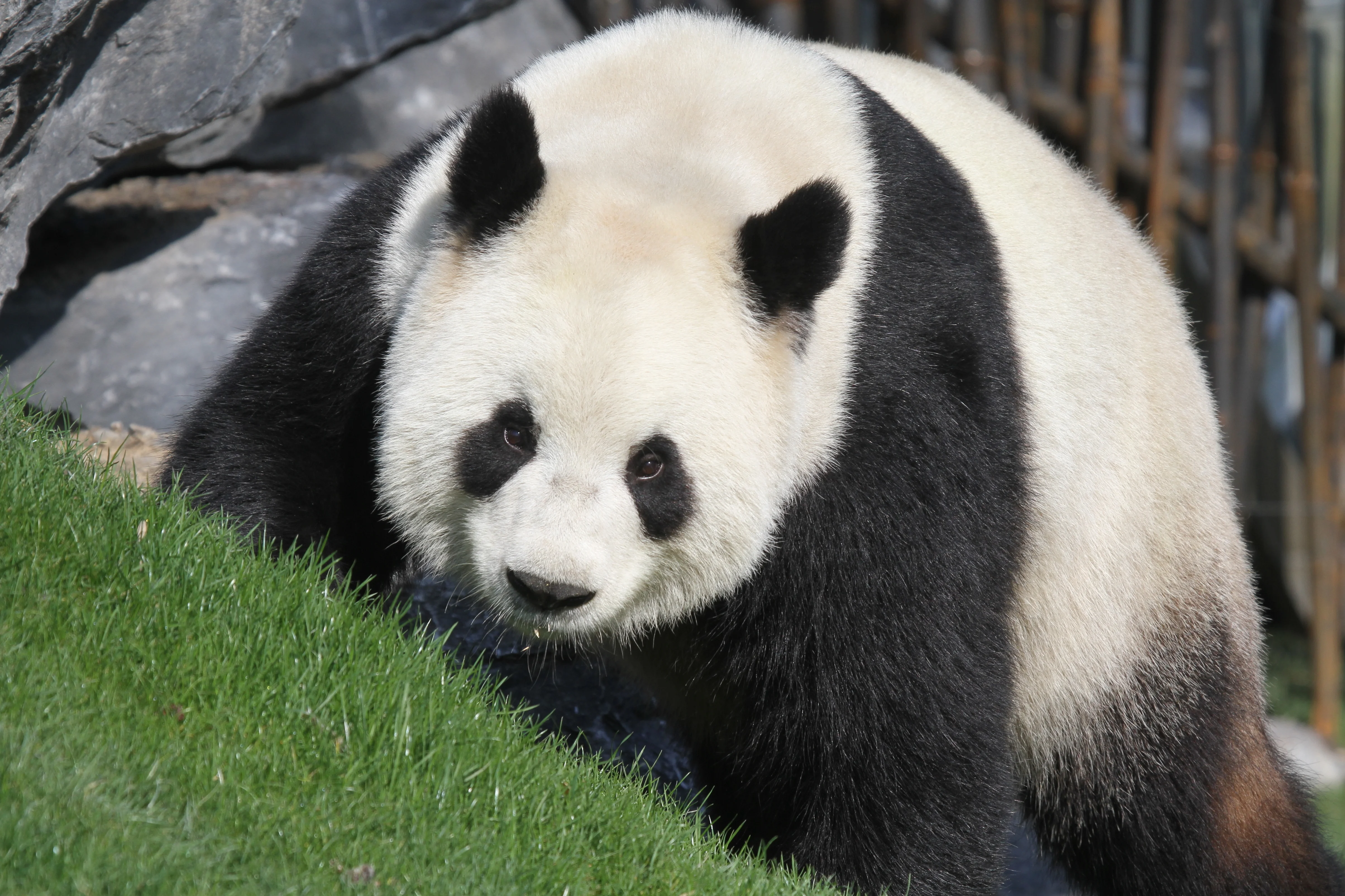 Pairi Daiza
