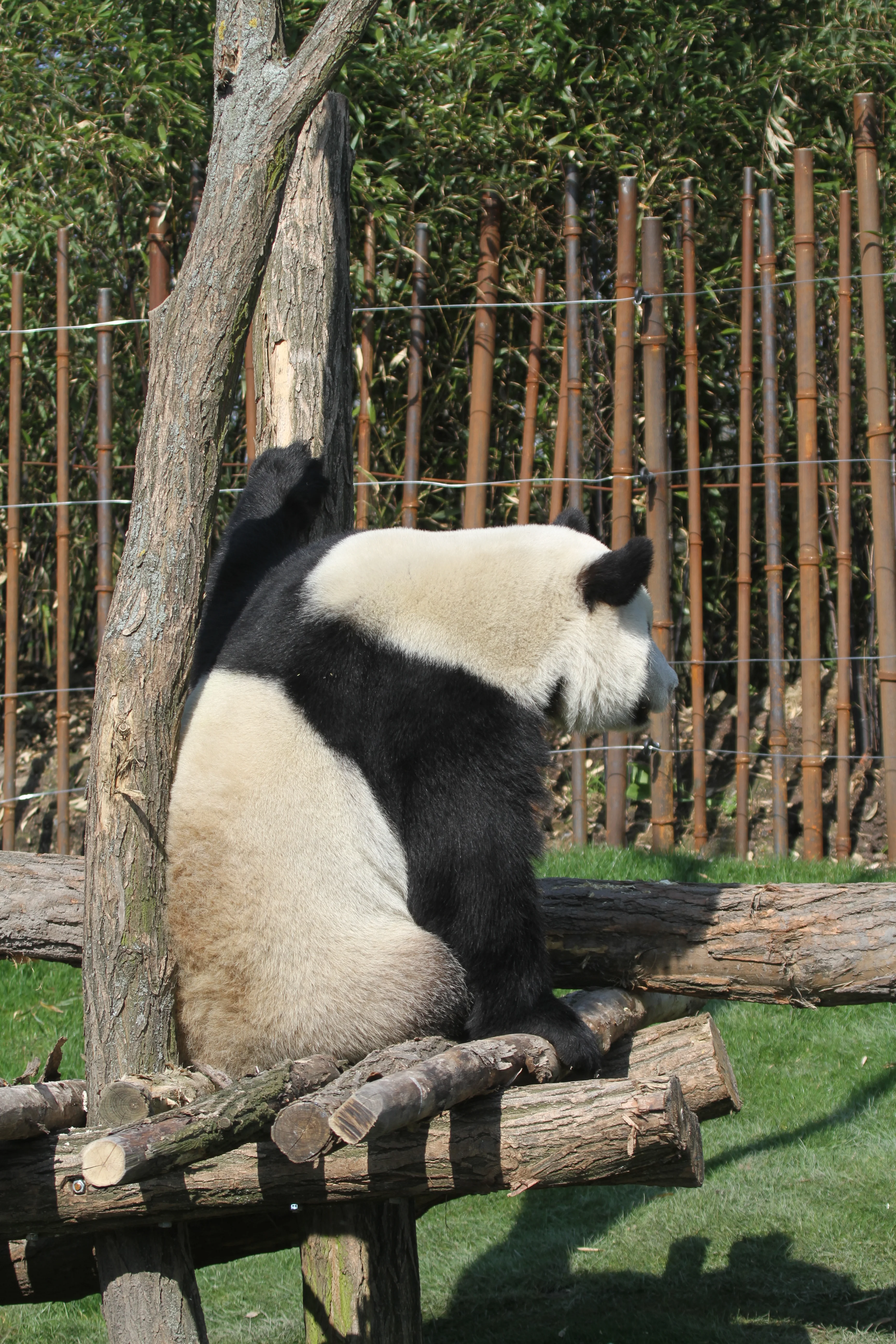 Pairi Daiza