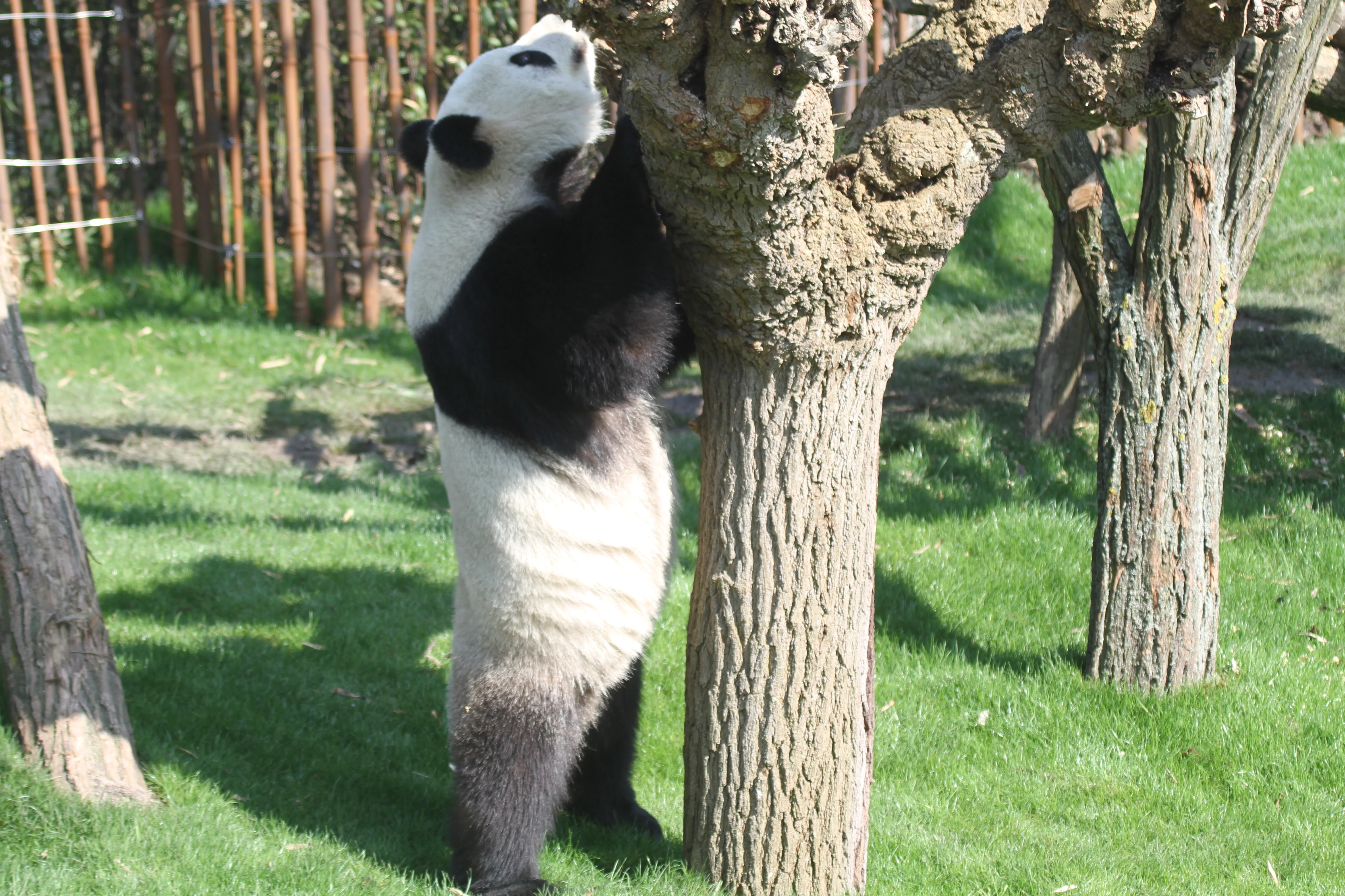 Pairi Daiza