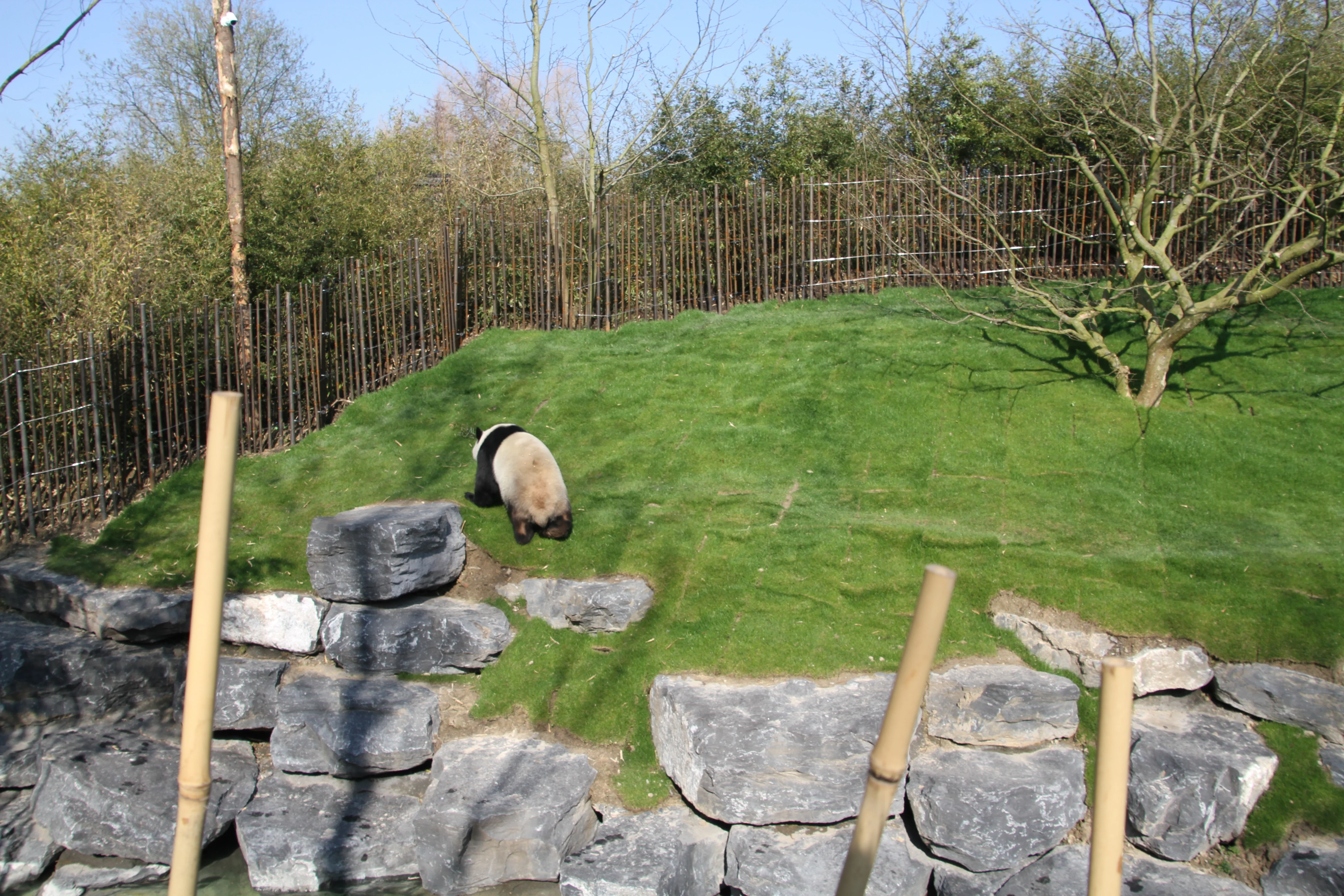 Pairi Daiza