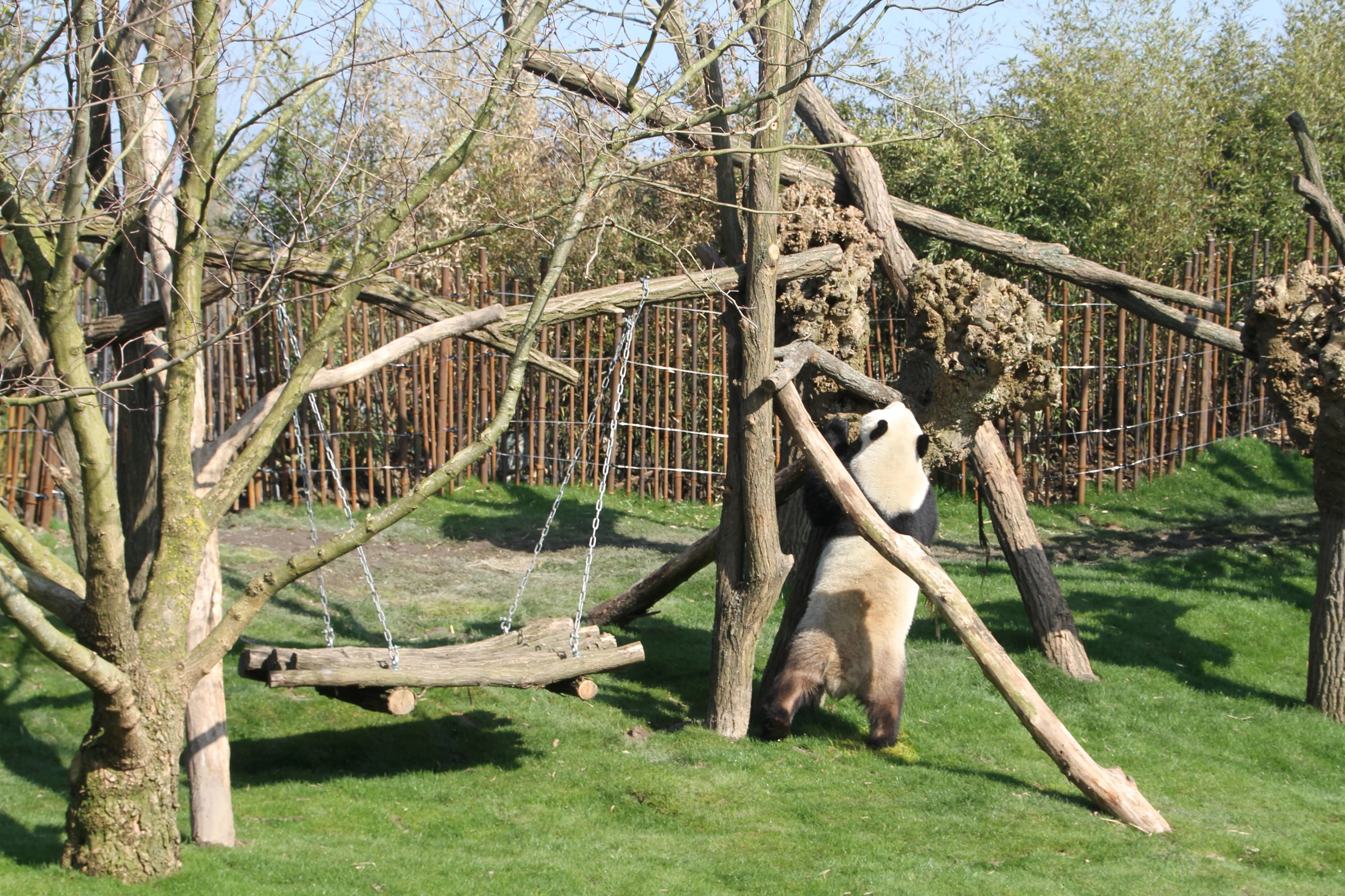 Pairi Daiza