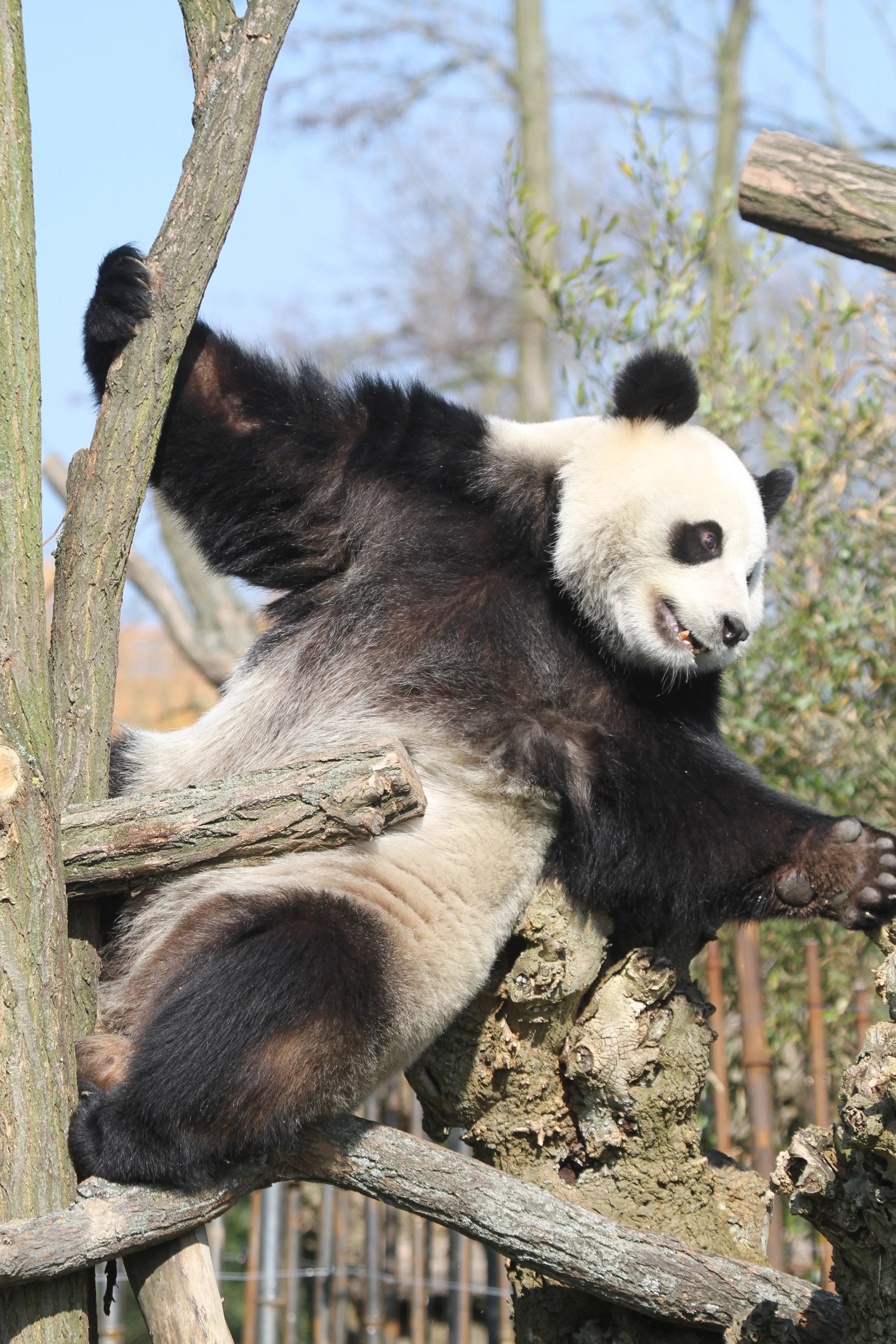 Pairi Daiza