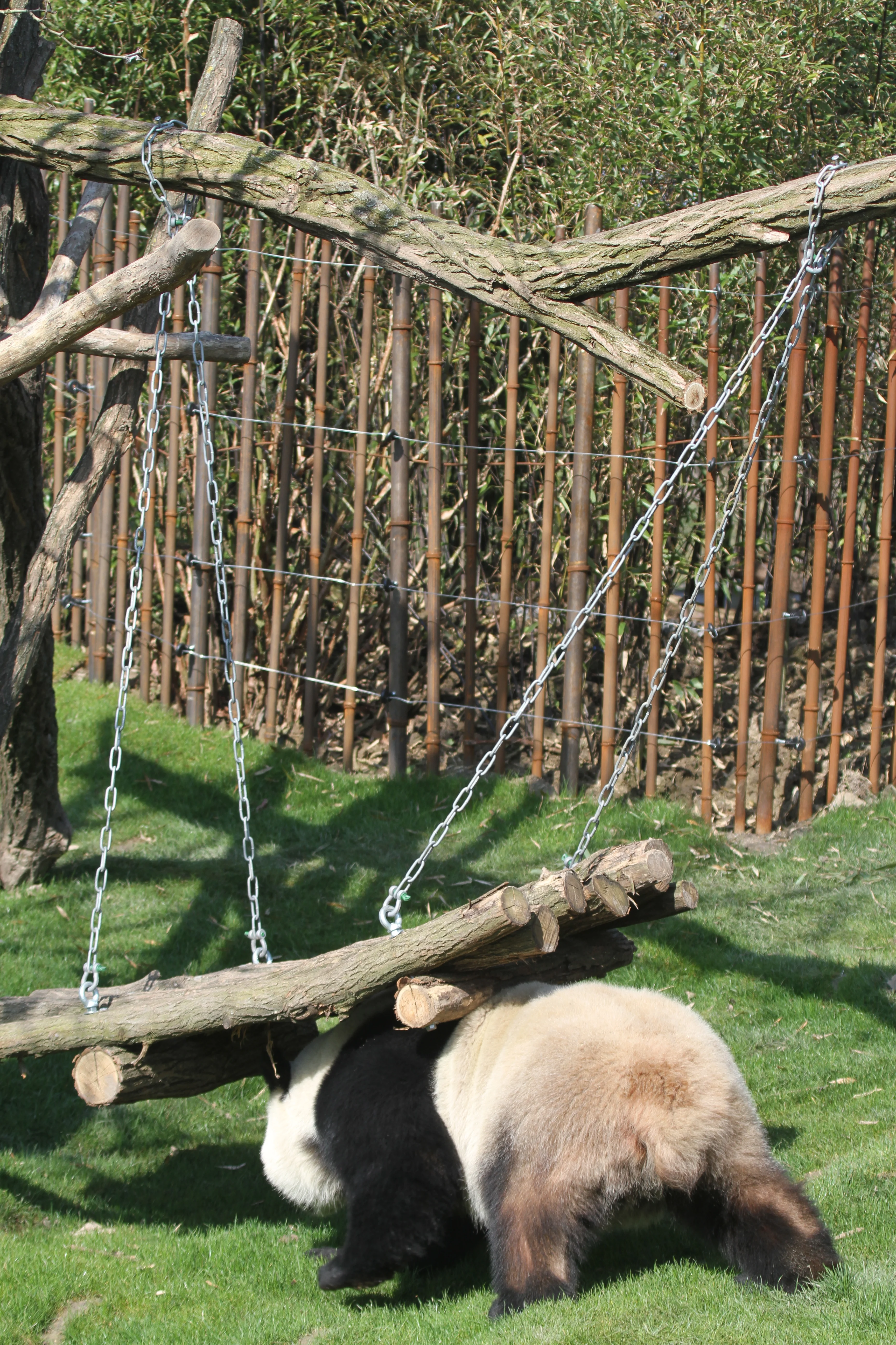 Pairi Daiza