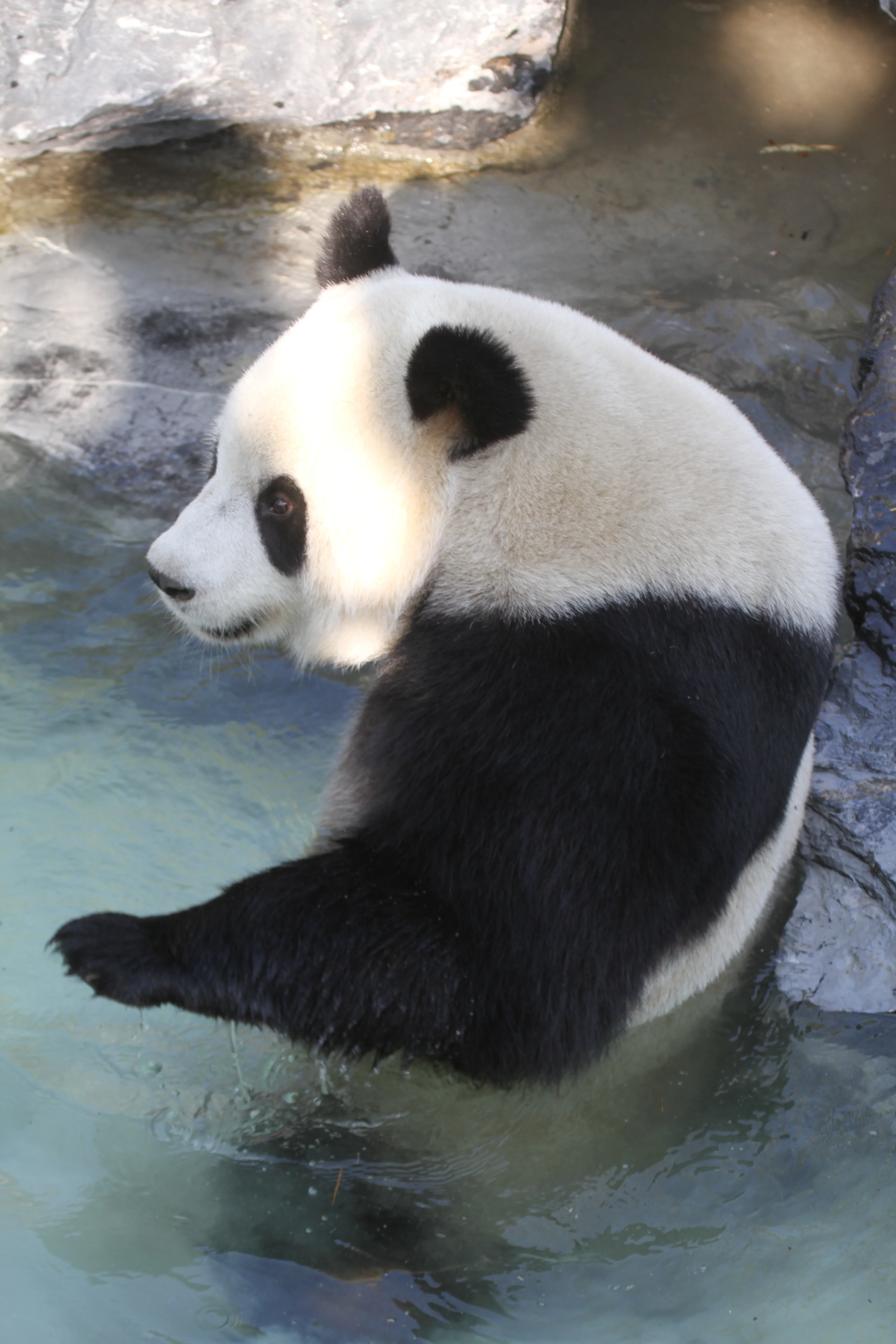 Pairi Daiza